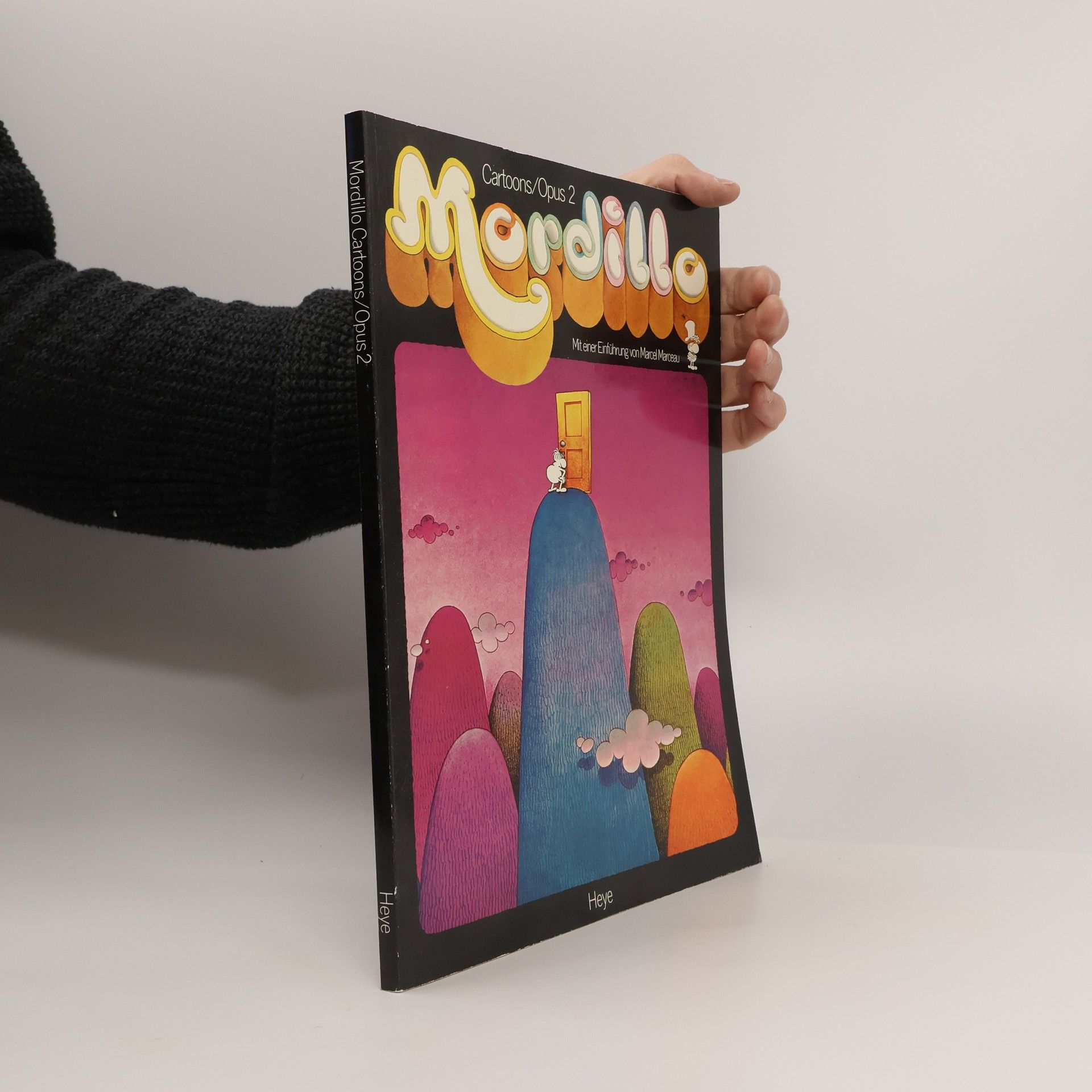 Wo Worte versagen, sprechen Bilder - und umgekehrt