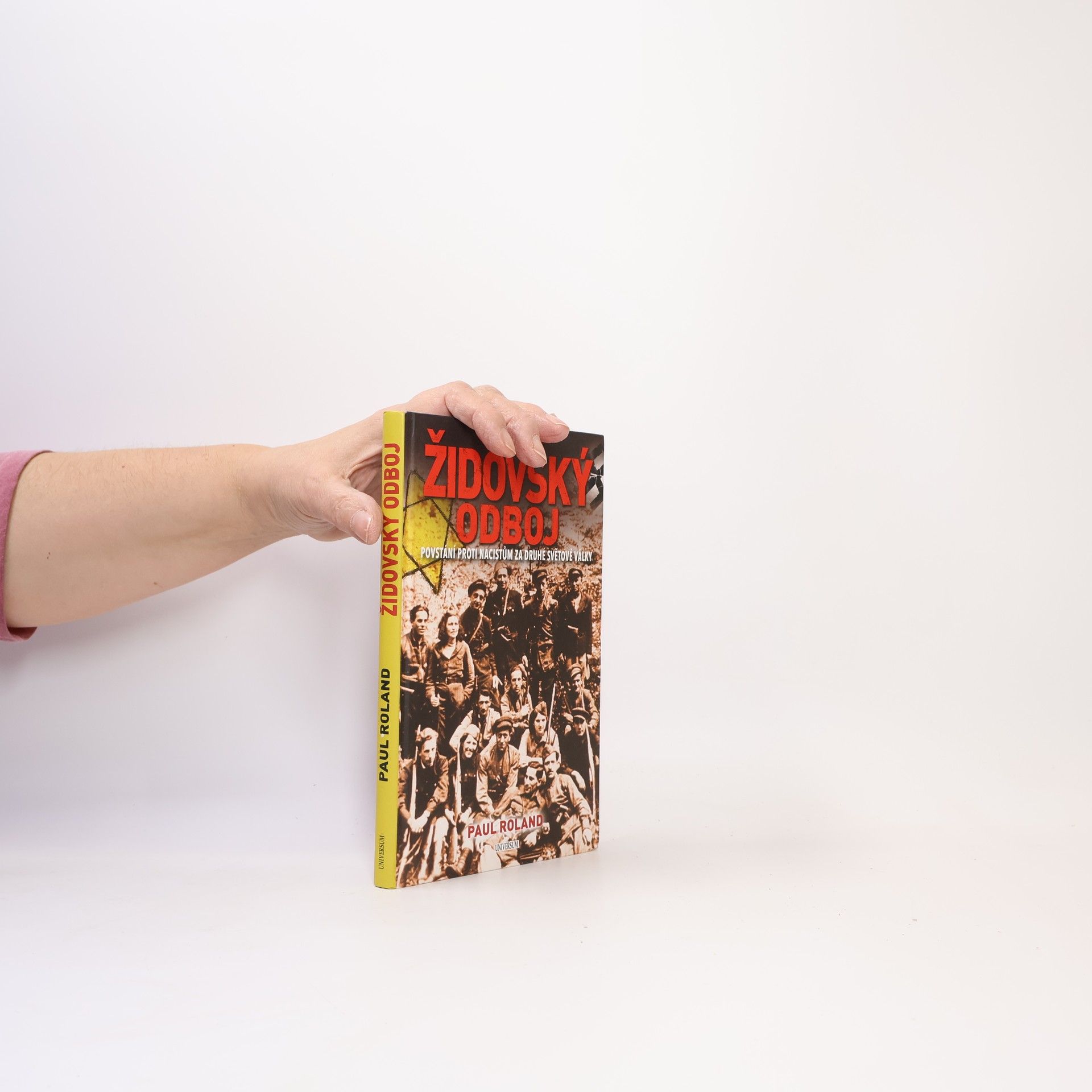 Paul Roland Židovský odboj: Povstání proti nacistům za druhé světové války