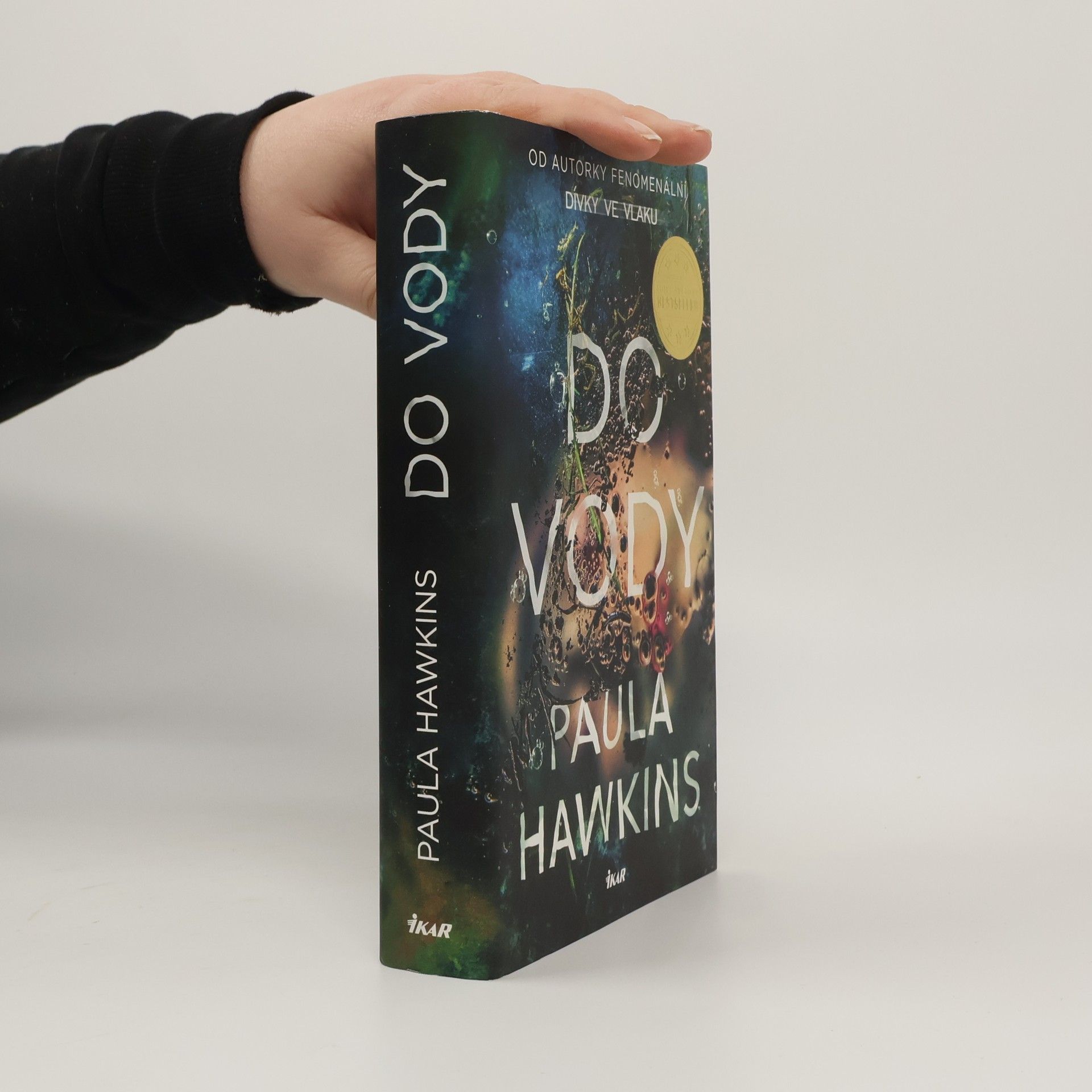 Paula Hawkins Do vody