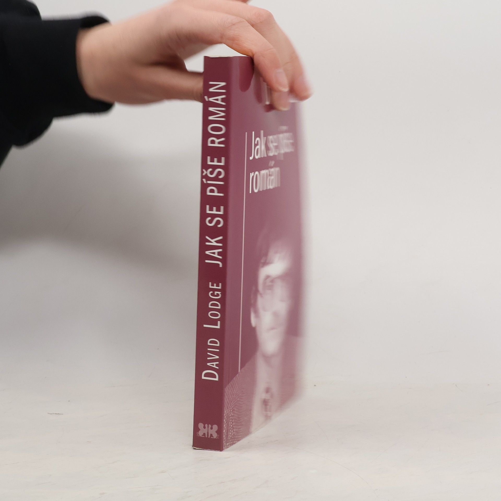 David Lodge Jak se píše román