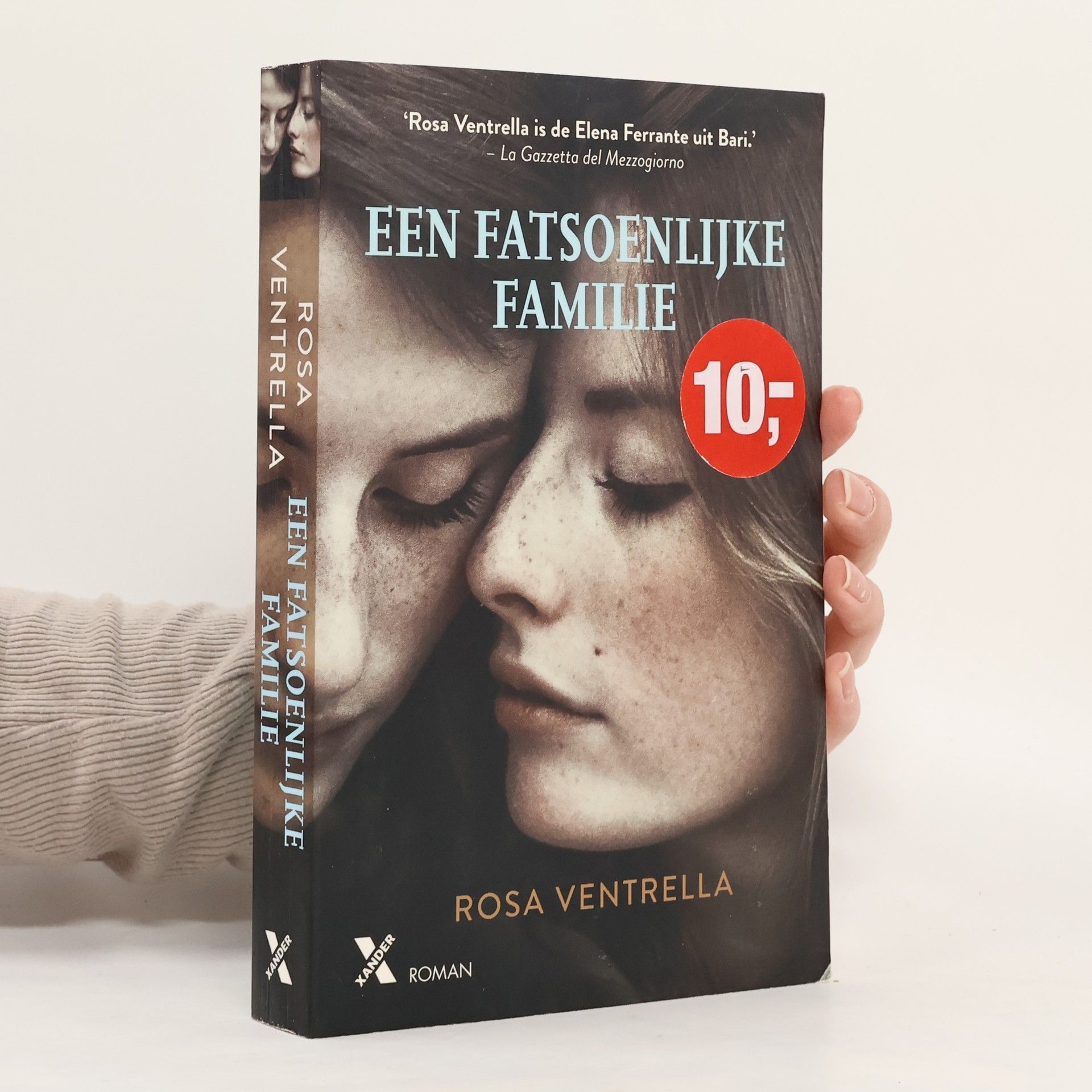 Rosa Ventrella Een fatsoenlijke familie