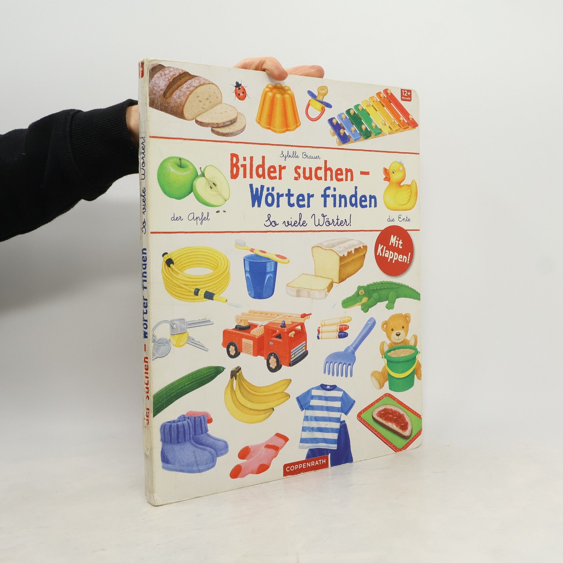 Sybille Brauer Bilder suchen - Wörter finden