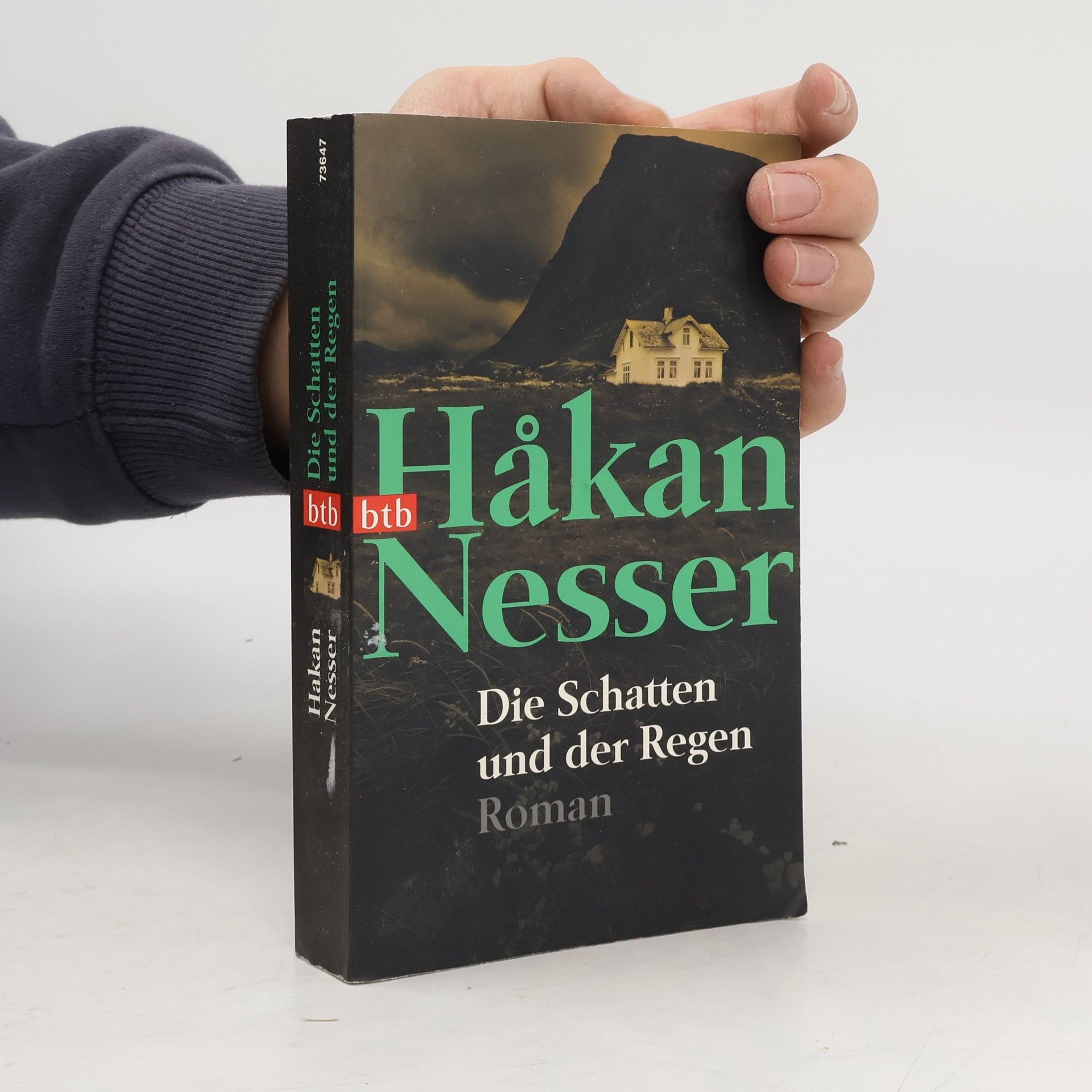 Håkan Nesser Die Schatten und der Regen