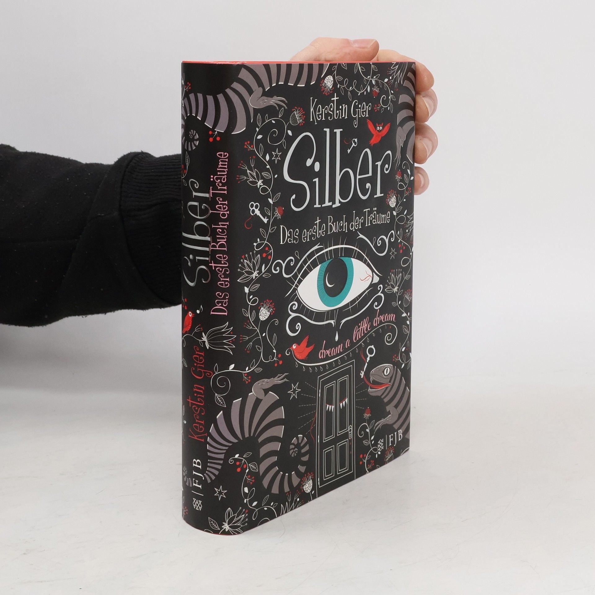 Kerstin Gier Silber. Das erste Buch der Träume