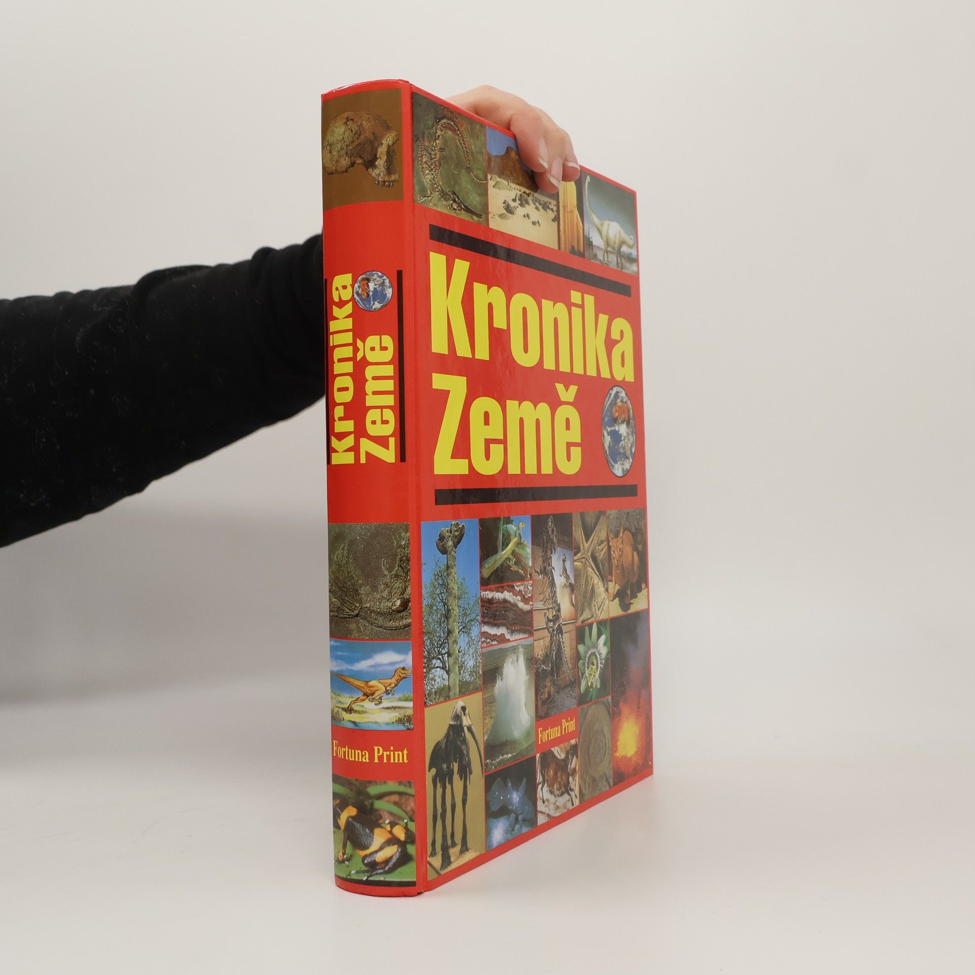 Felix R. Paturi Kronika Země