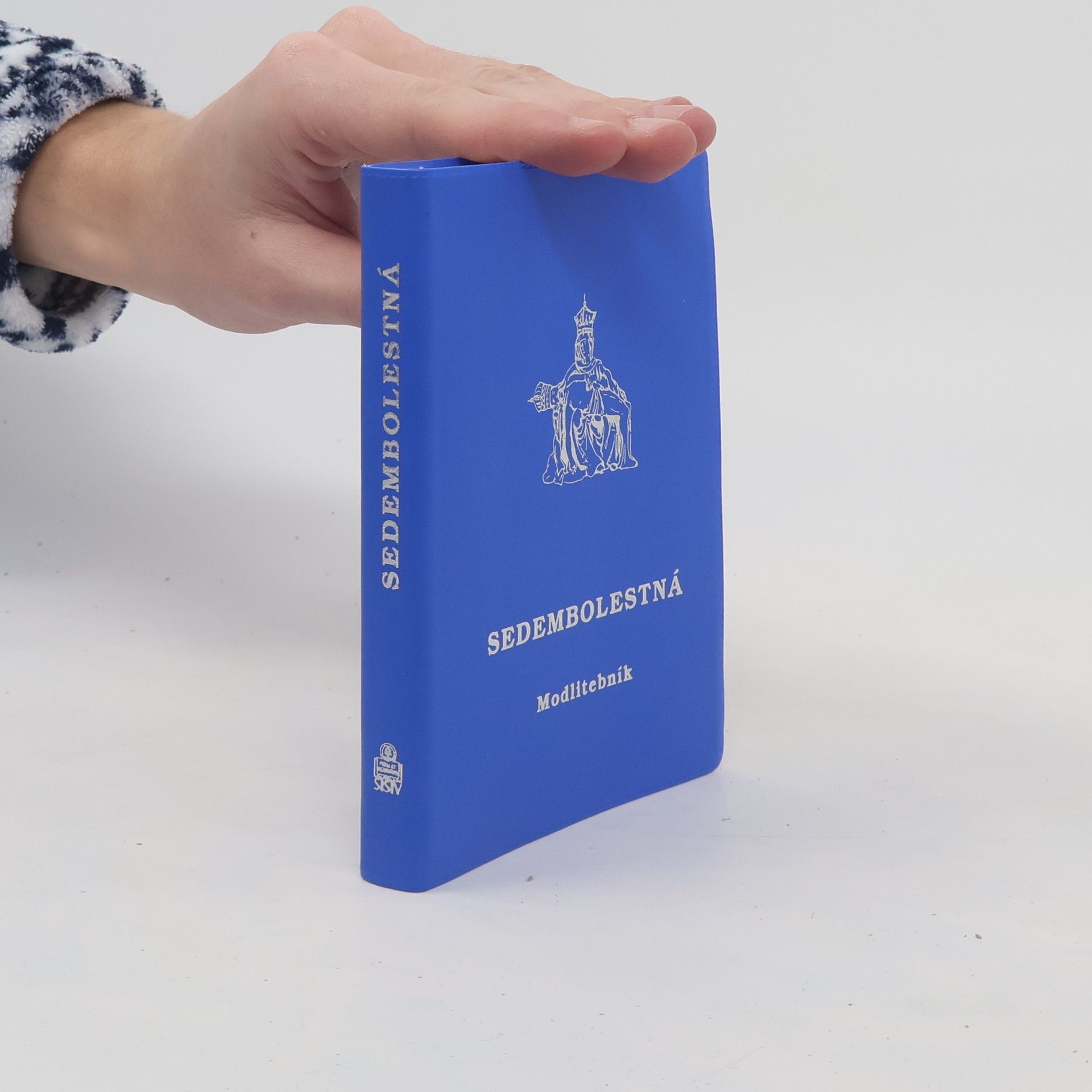 Autorenkollektiv Sedembolestná. Modlitebník