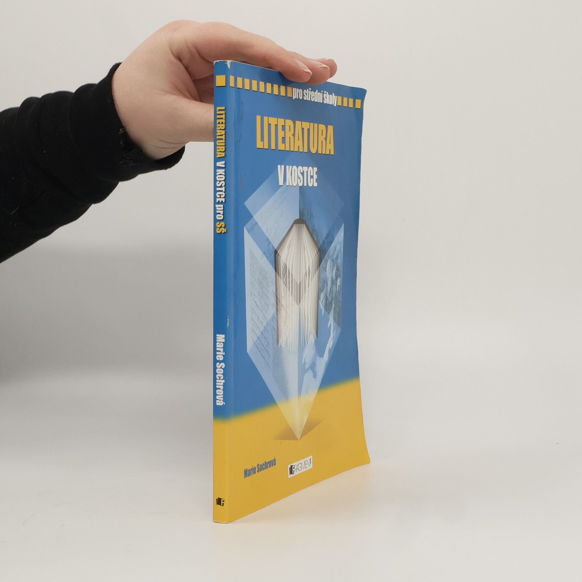 Marie Sochrová Literatura v kostce : pro střední školy