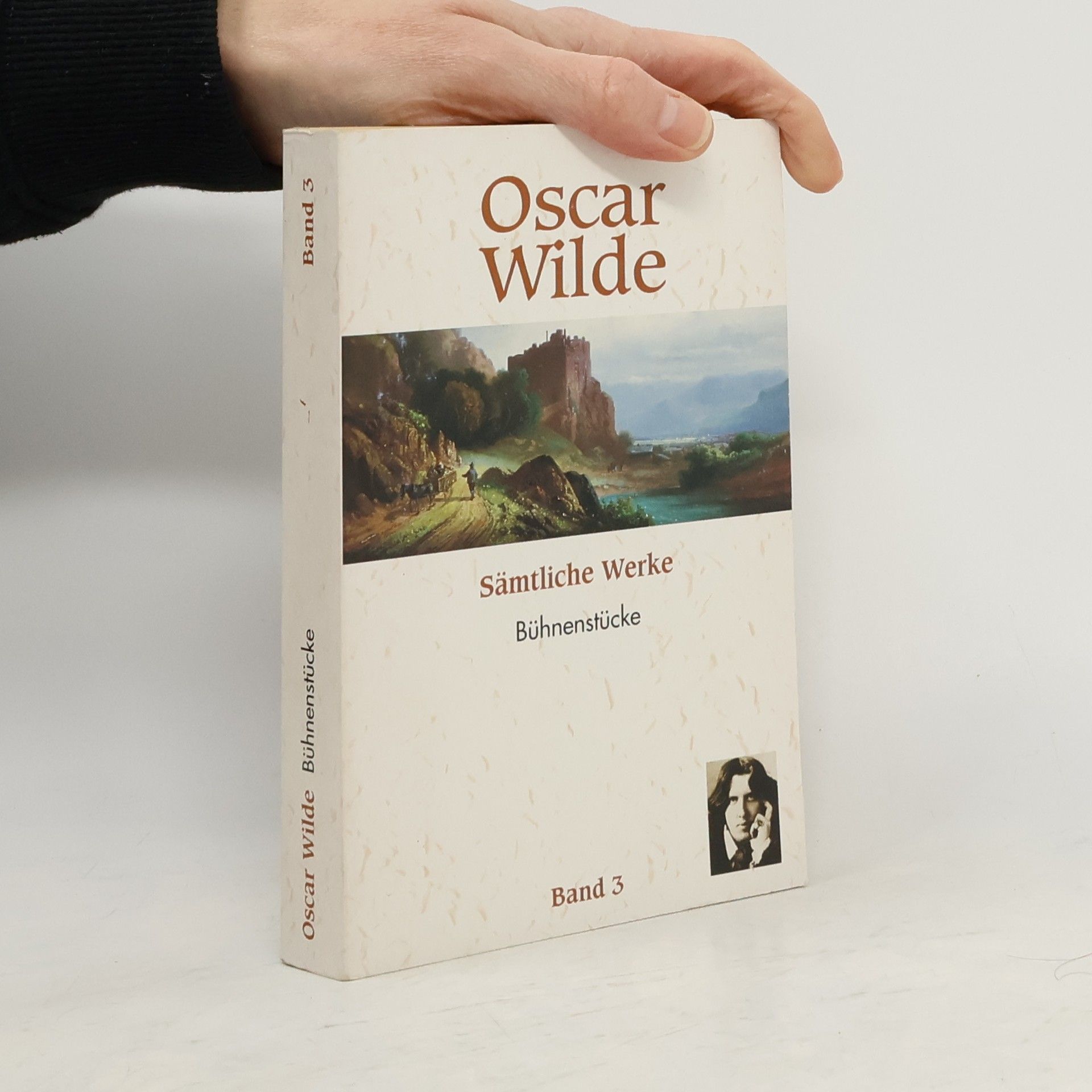 Oscar Wilde Sämtliche Werke 3