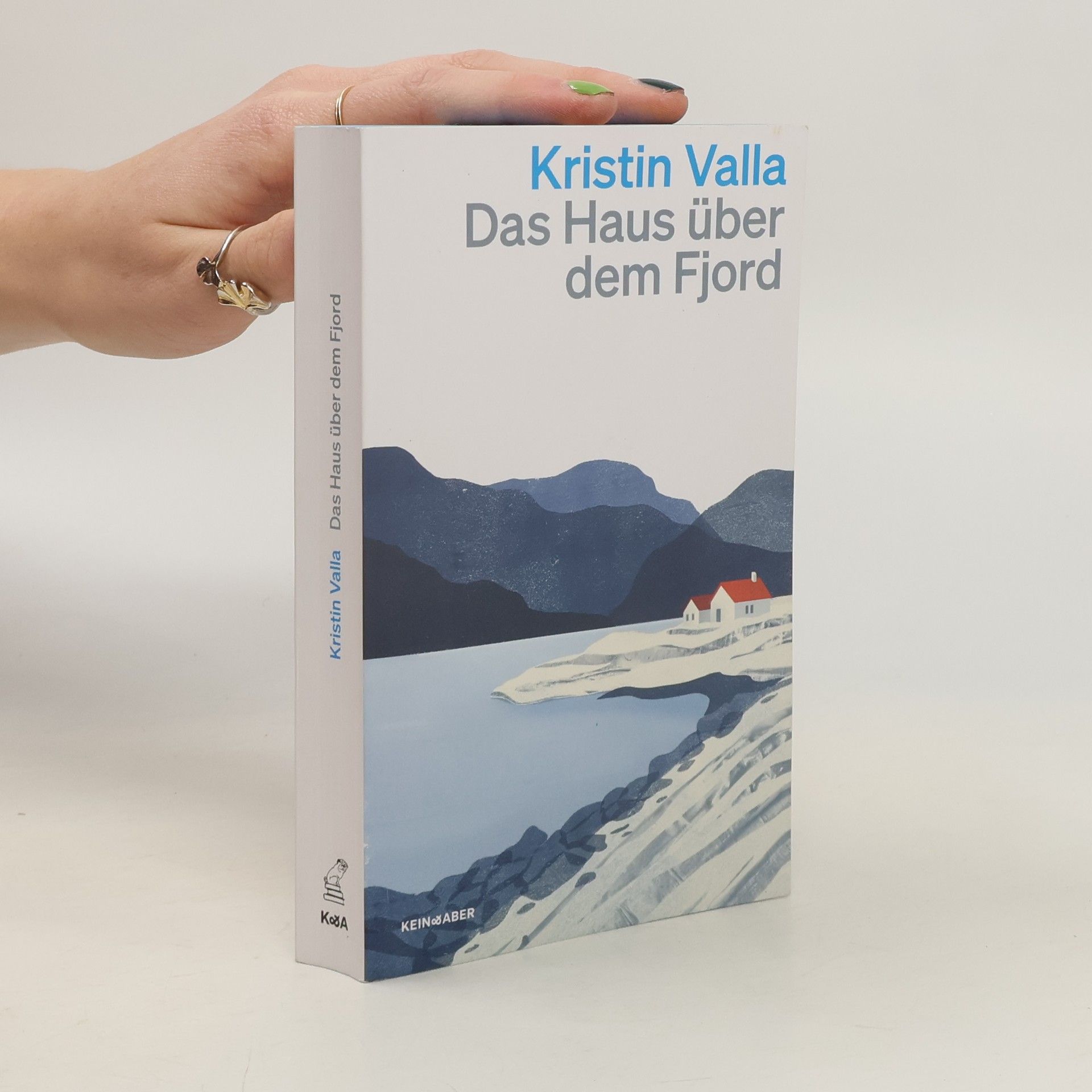 Kristin Valla Das Haus über dem Fjord
