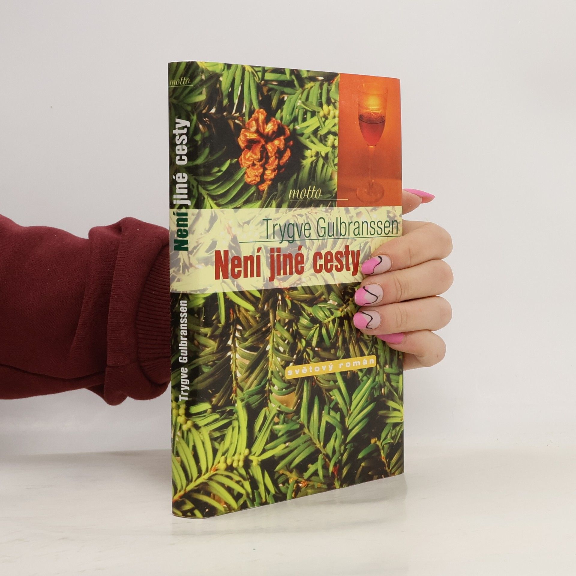 Trygve Gulbranssen Není jiné cesty. Věčně zpívají lesy 3