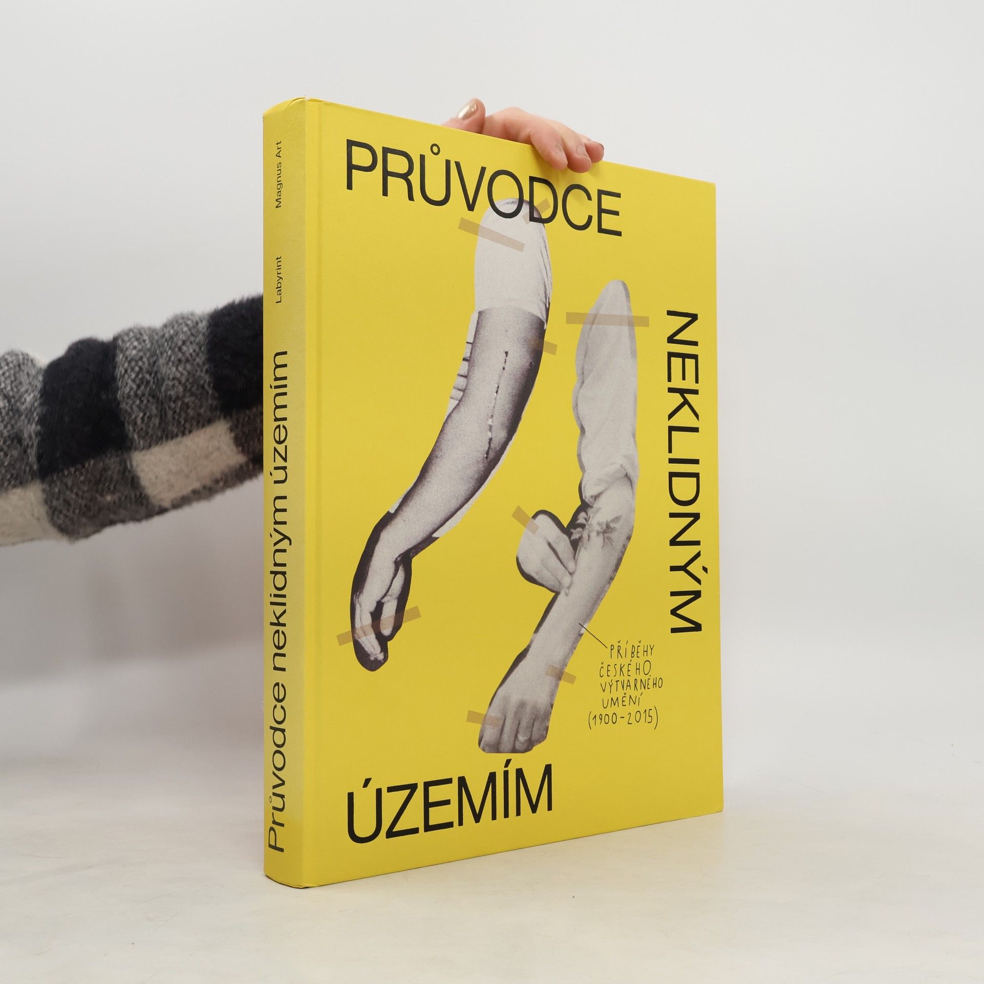 Ondřej Horák Průvodce neklidným územím. Příběhy českého výtvarného umění (1900-2015)