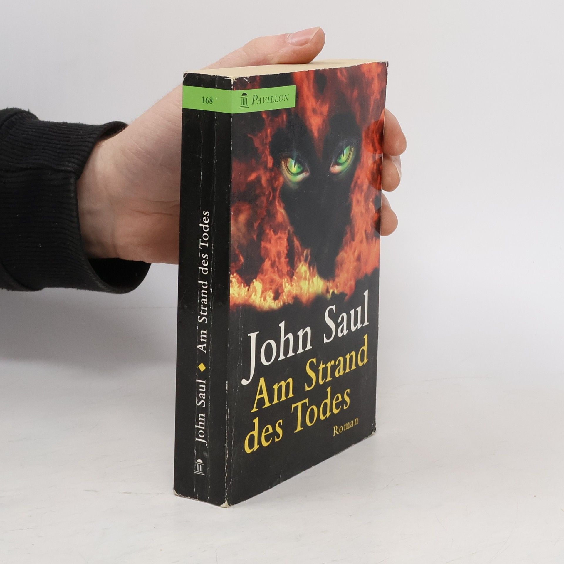 John Saul Am Strand des Todes