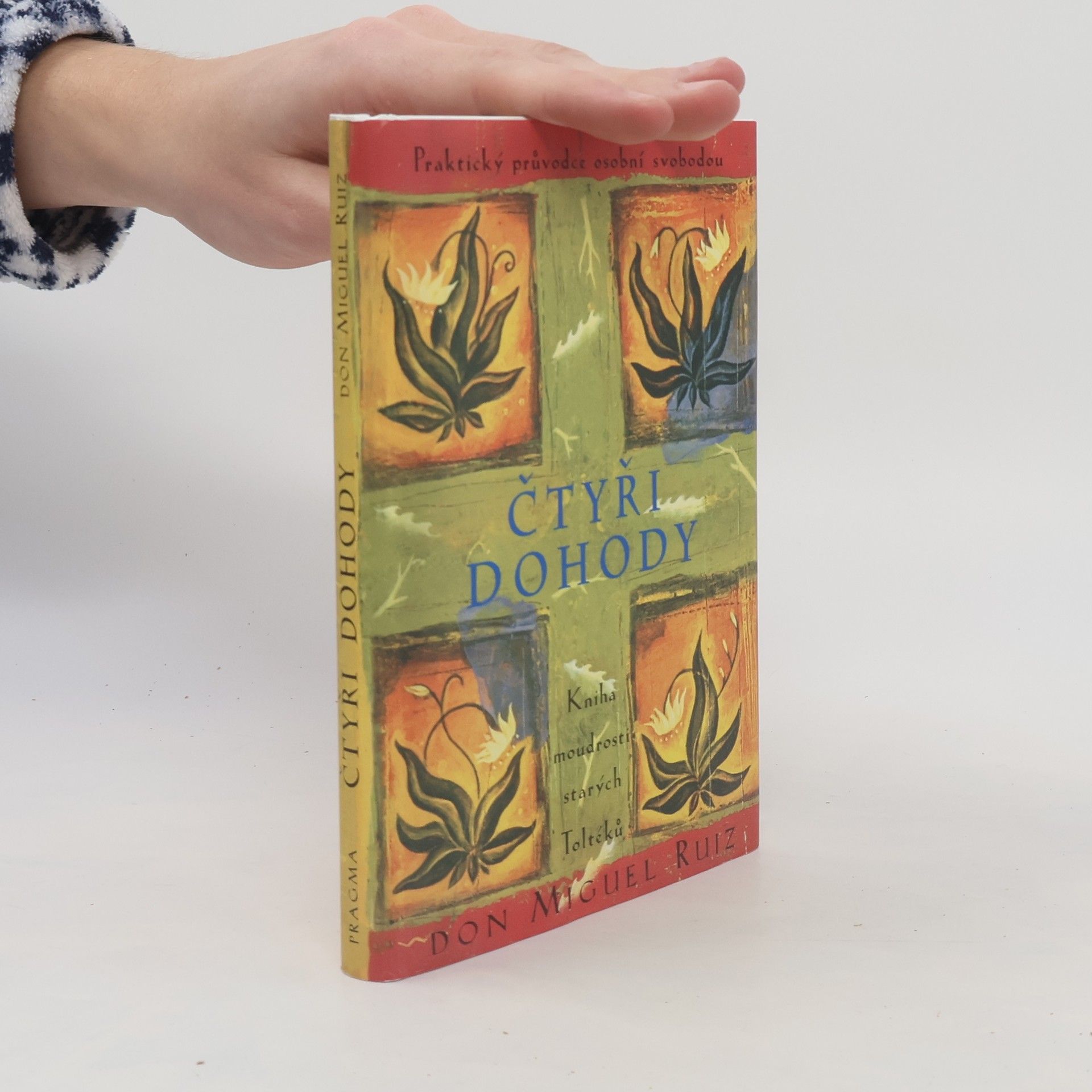 Don Miguel Ruiz Čtyři dohody