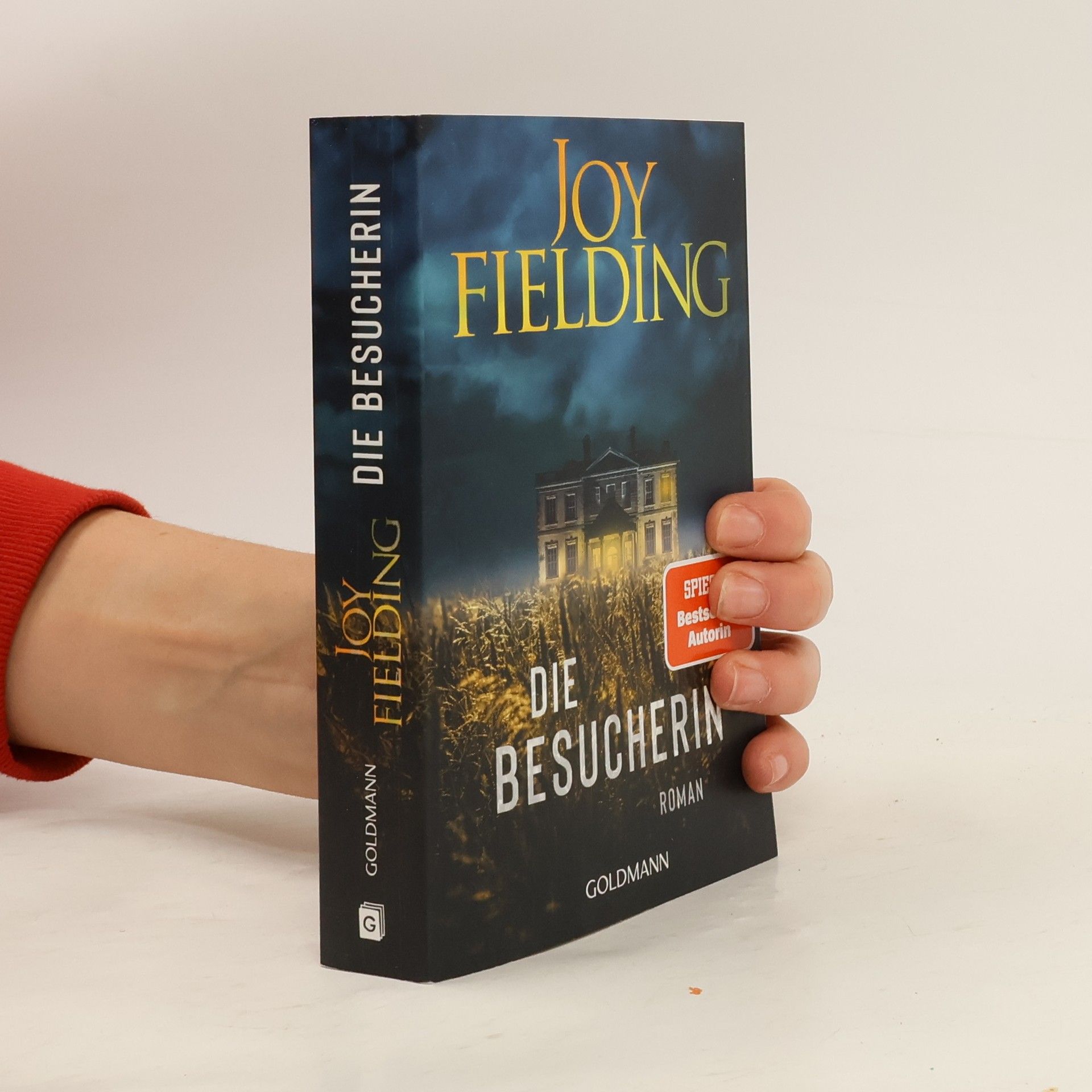 Joy Fielding Die Besucherin