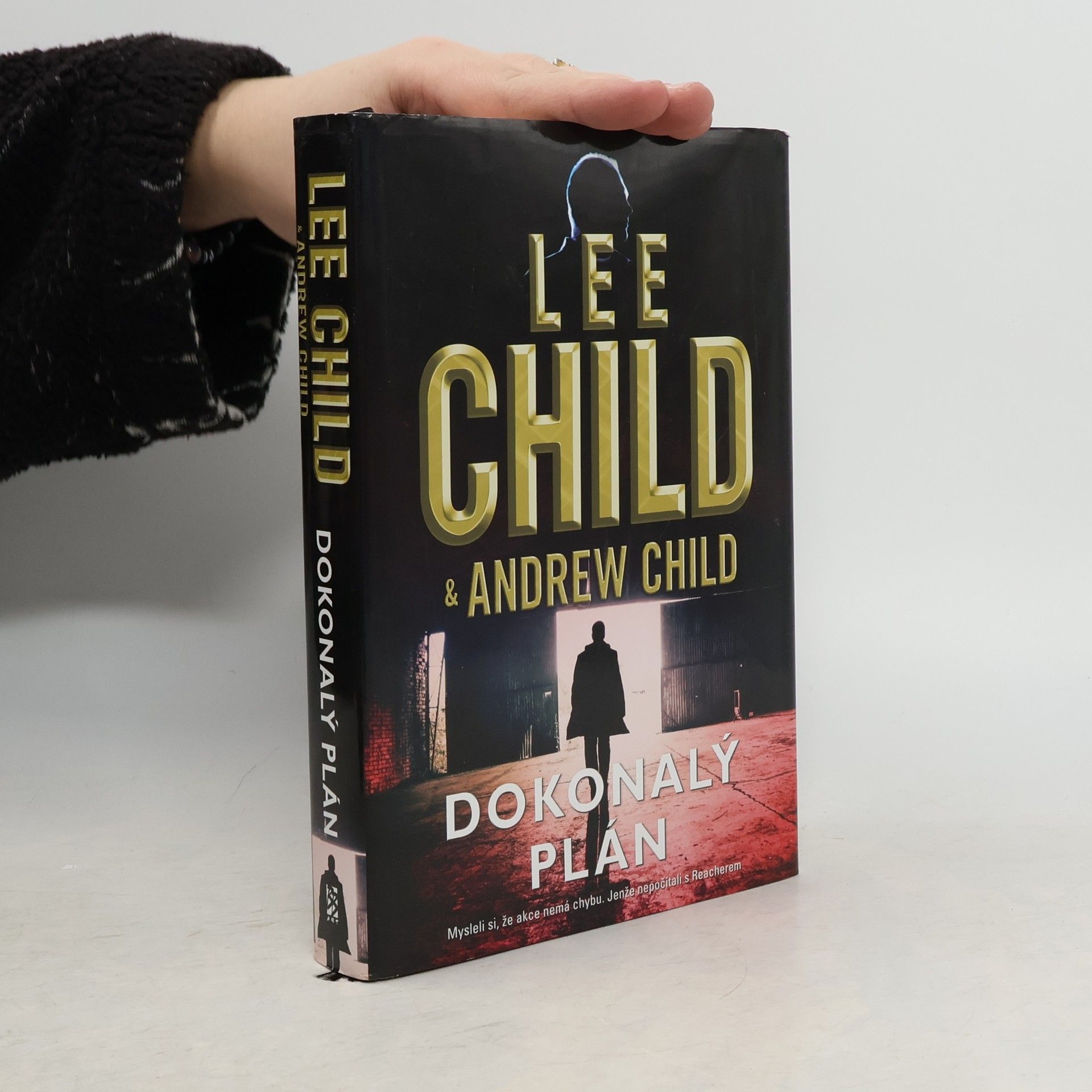 Lee Child Dokonalý plán