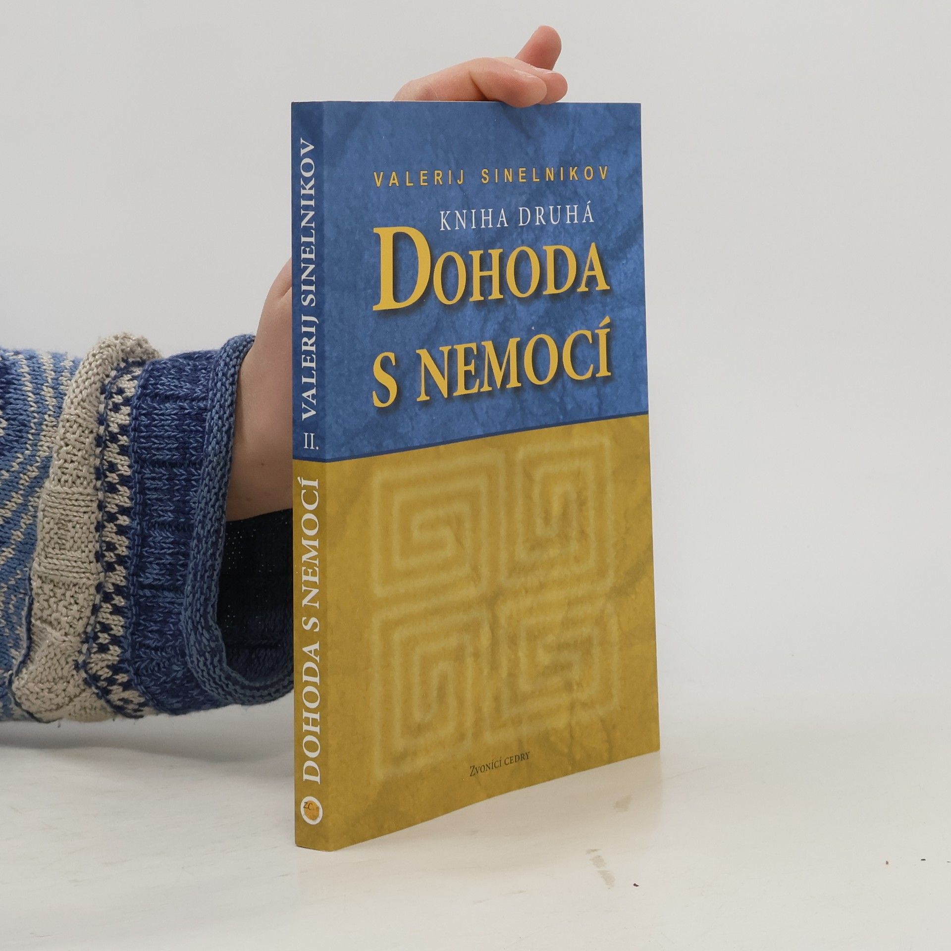 Valerij Vladimirovič Sinelnikov Dohoda s nemocí. Kniha druhá