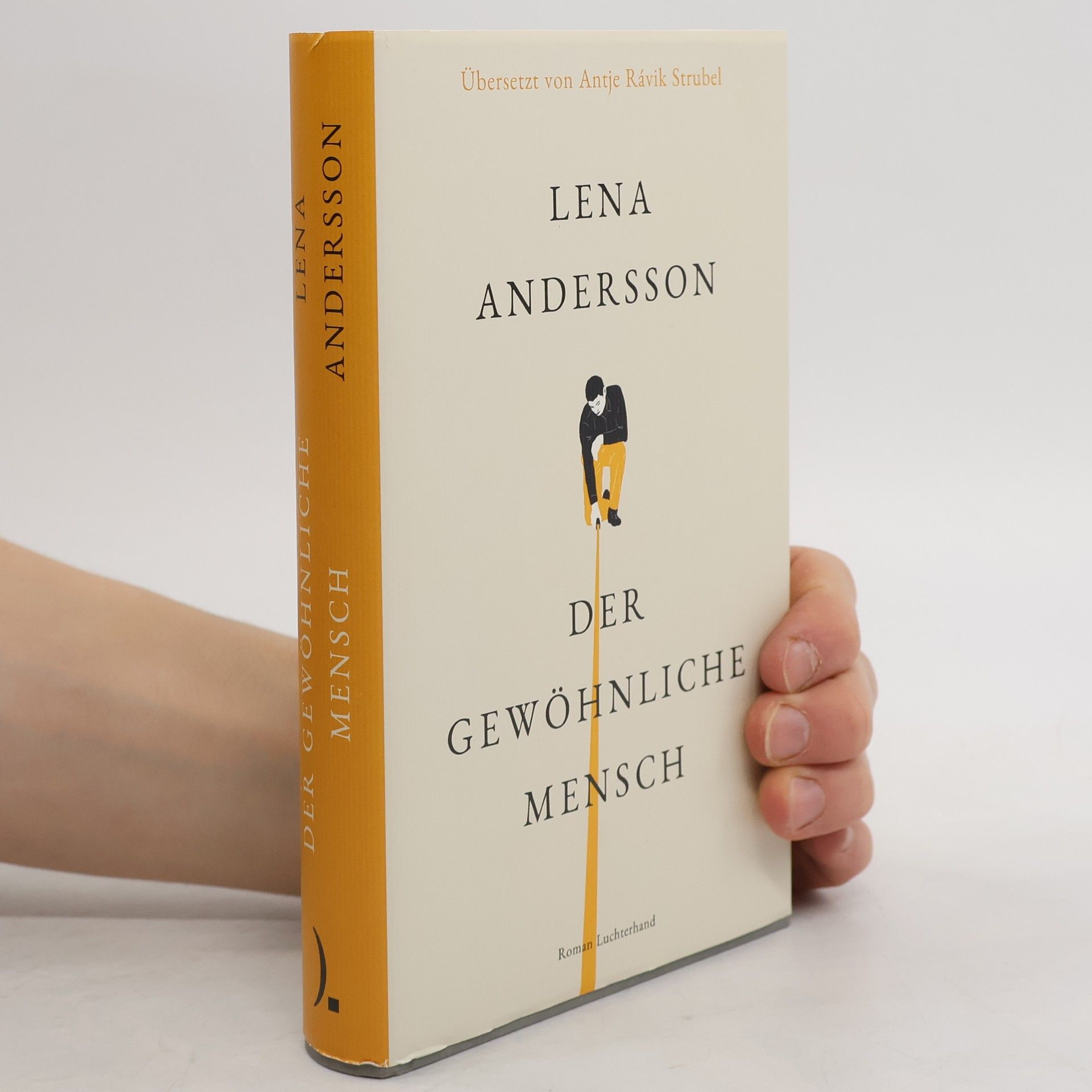 Lena Andersson Der gewöhnliche Mensch