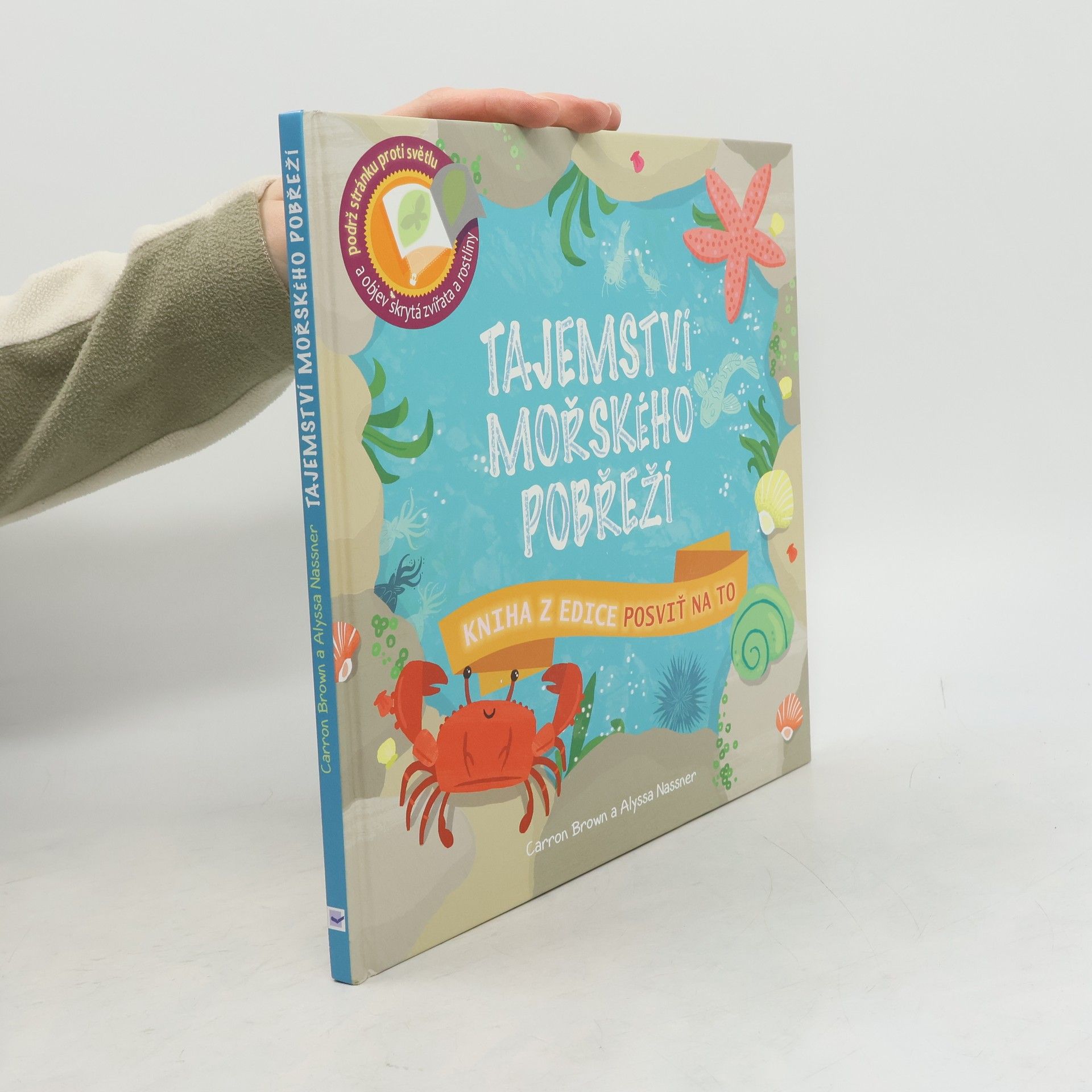 Carron Brown Tajemství mořského pobřeží