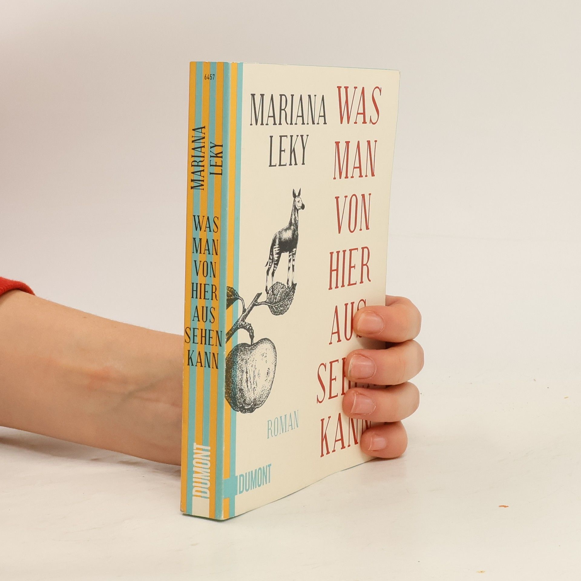 Mariana Leky Was man von hier aus sehen kann