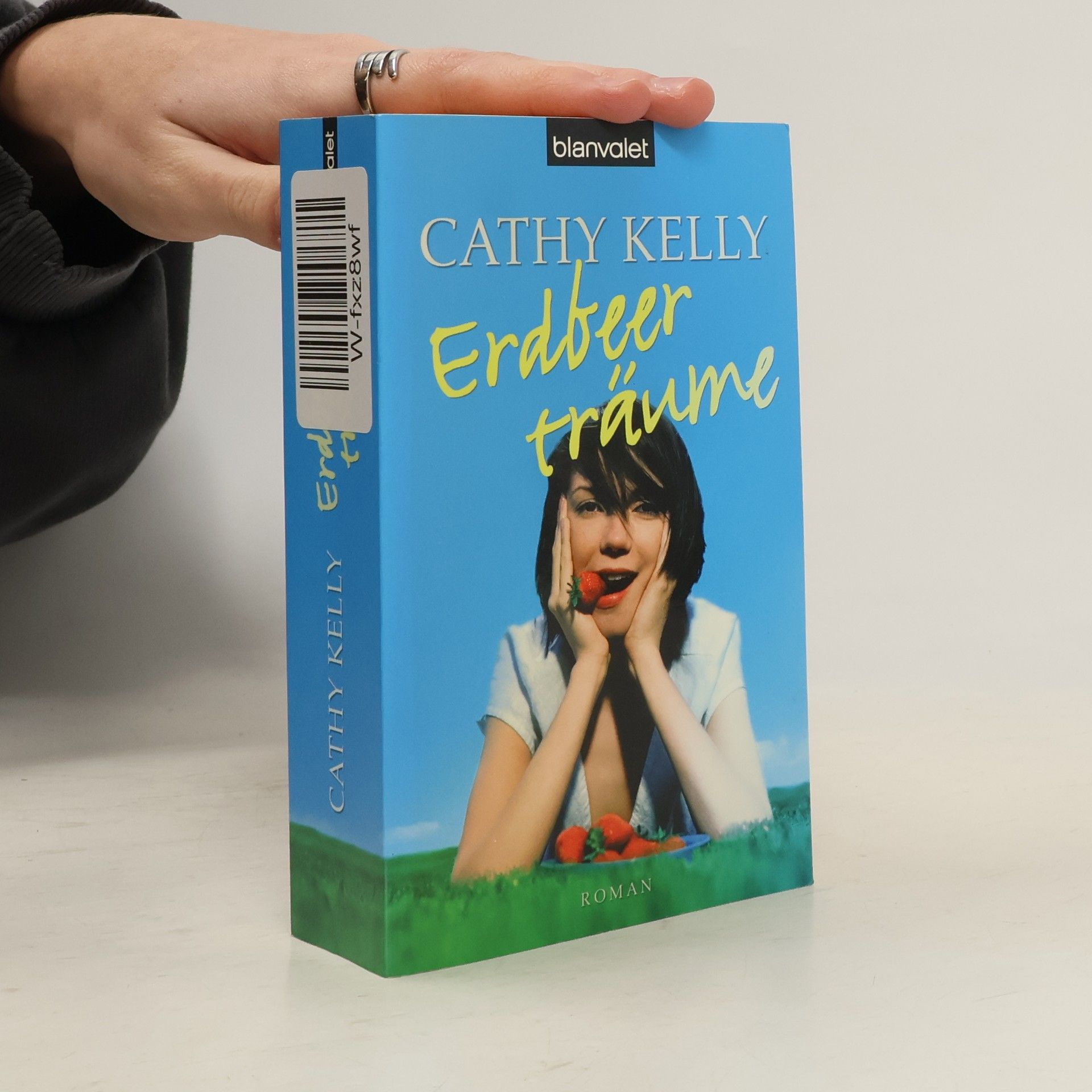 Cathy Kelly Erdbeerträume