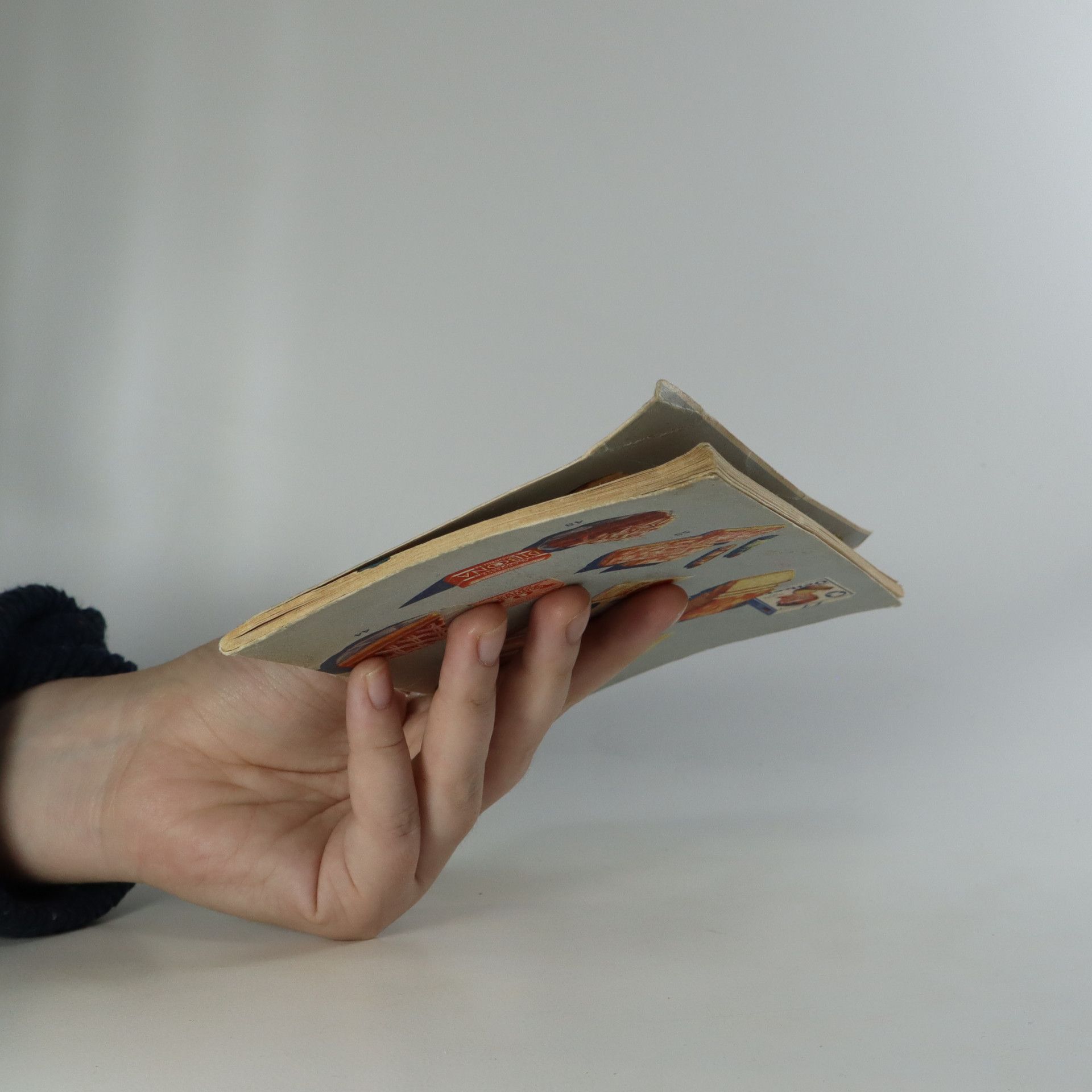 Autorenkollektiv Ilustrované kuchařské předpisy pro naše hospodyňky