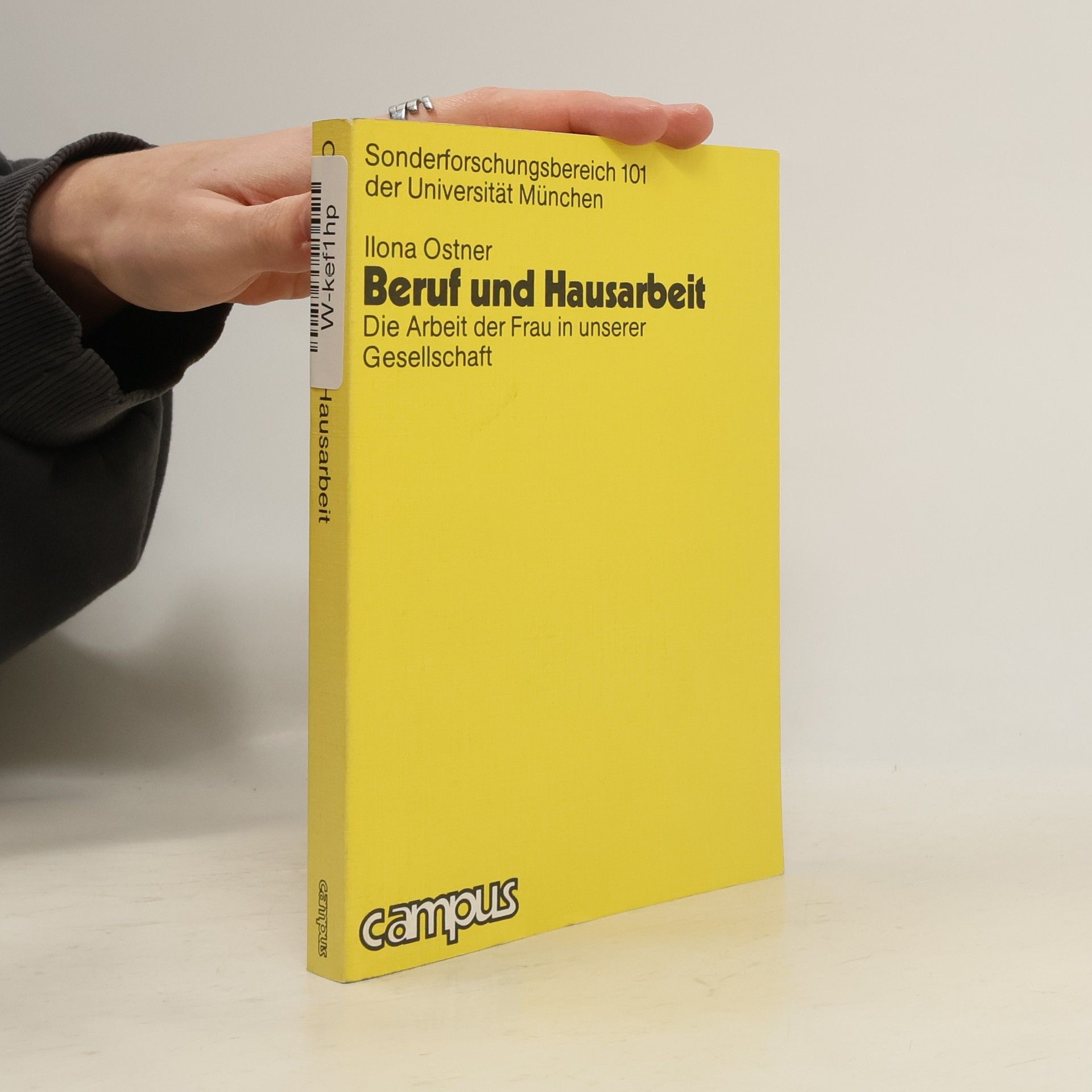 llona ostner Arbeiten aus dem Sonderforschungsbereich 101 der Universität München: Beruf und Hausarbeit