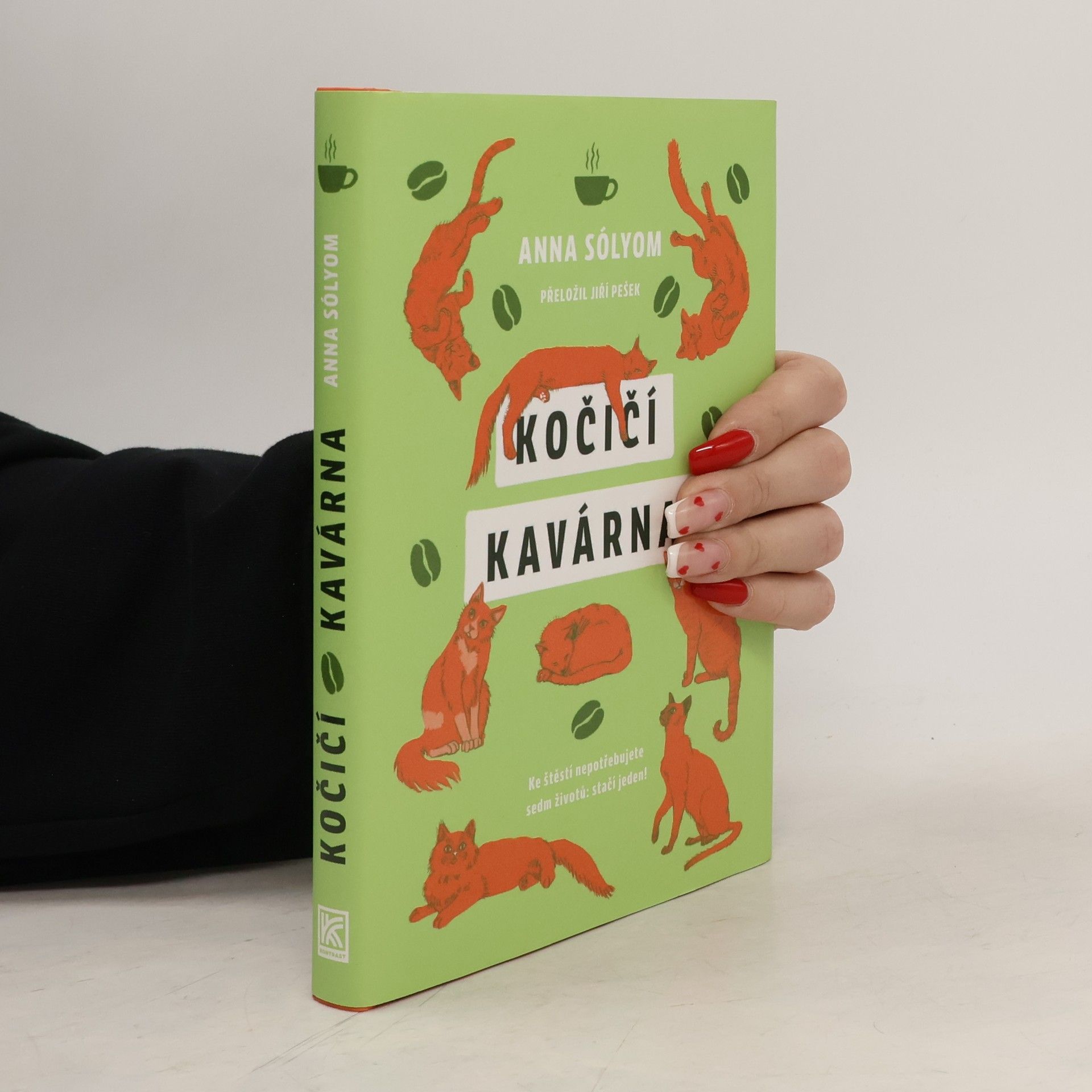 Anna Sólyom Kočičí kavárna