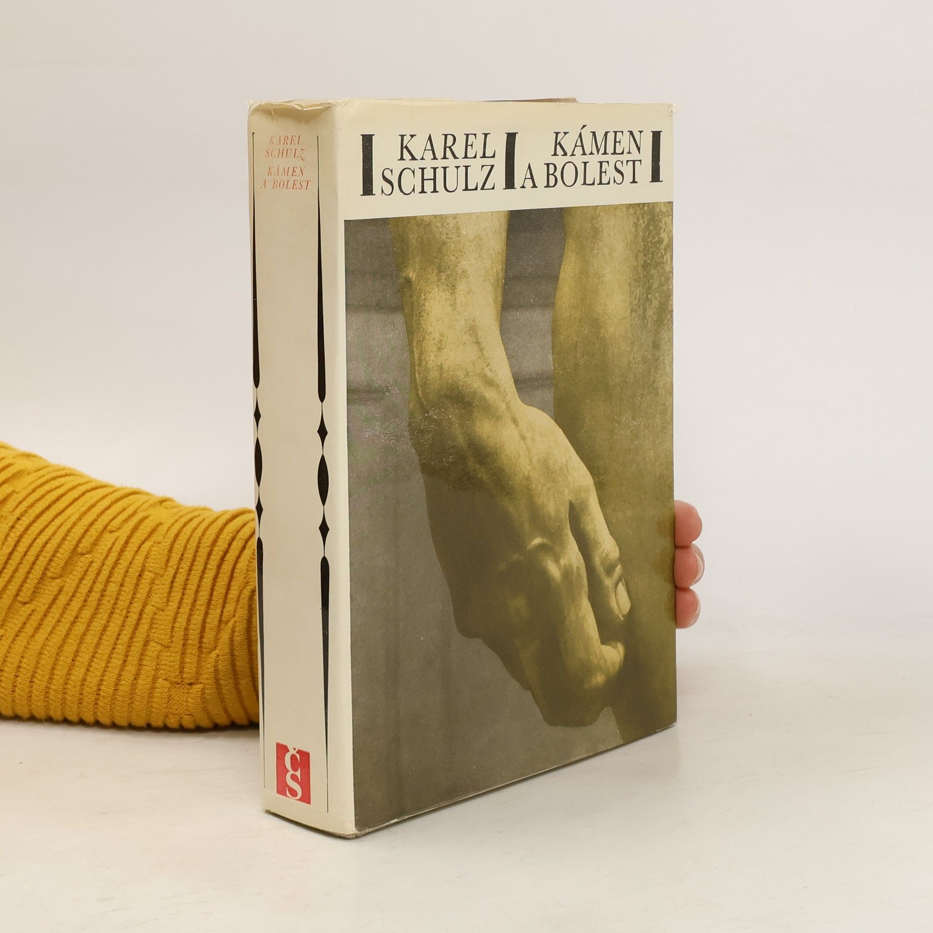 Karel Schulz Kámen a bolest
