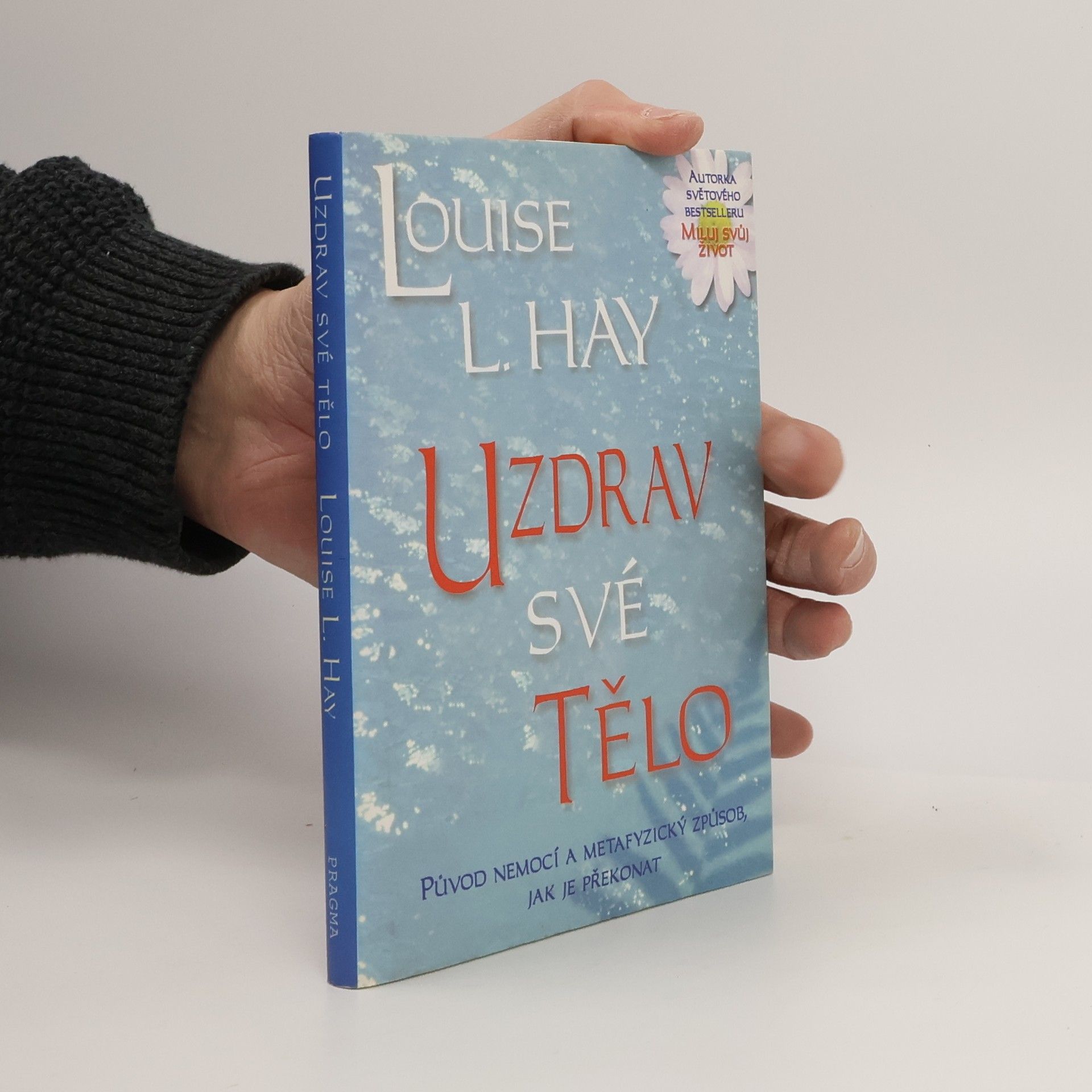 Louise Lynn Hay Uzdrav své tělo: Původ nemocí a metafyzický způsob, jak je překonat