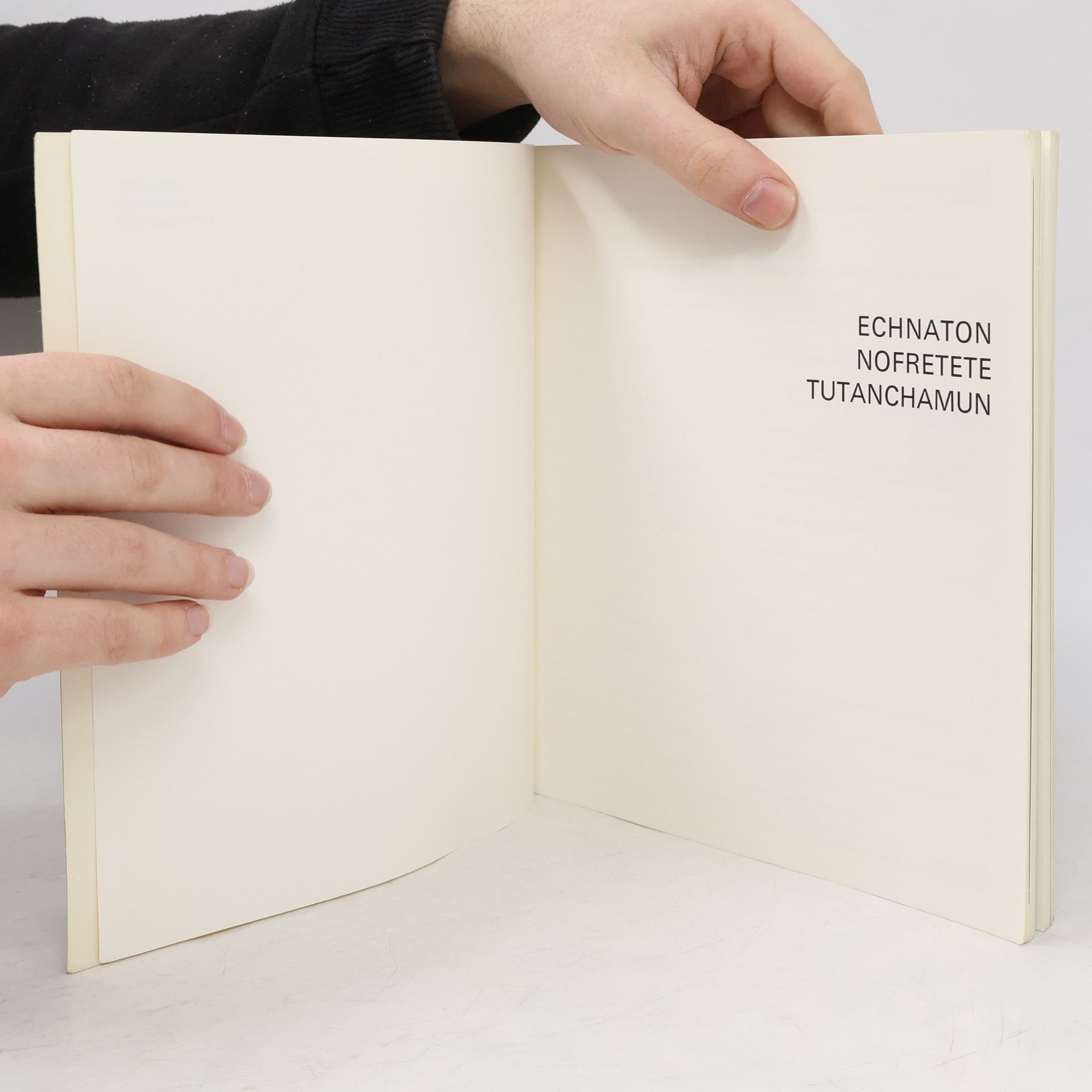 Helmut Satzinger Echnaton, Nofretete, Tutanchamun