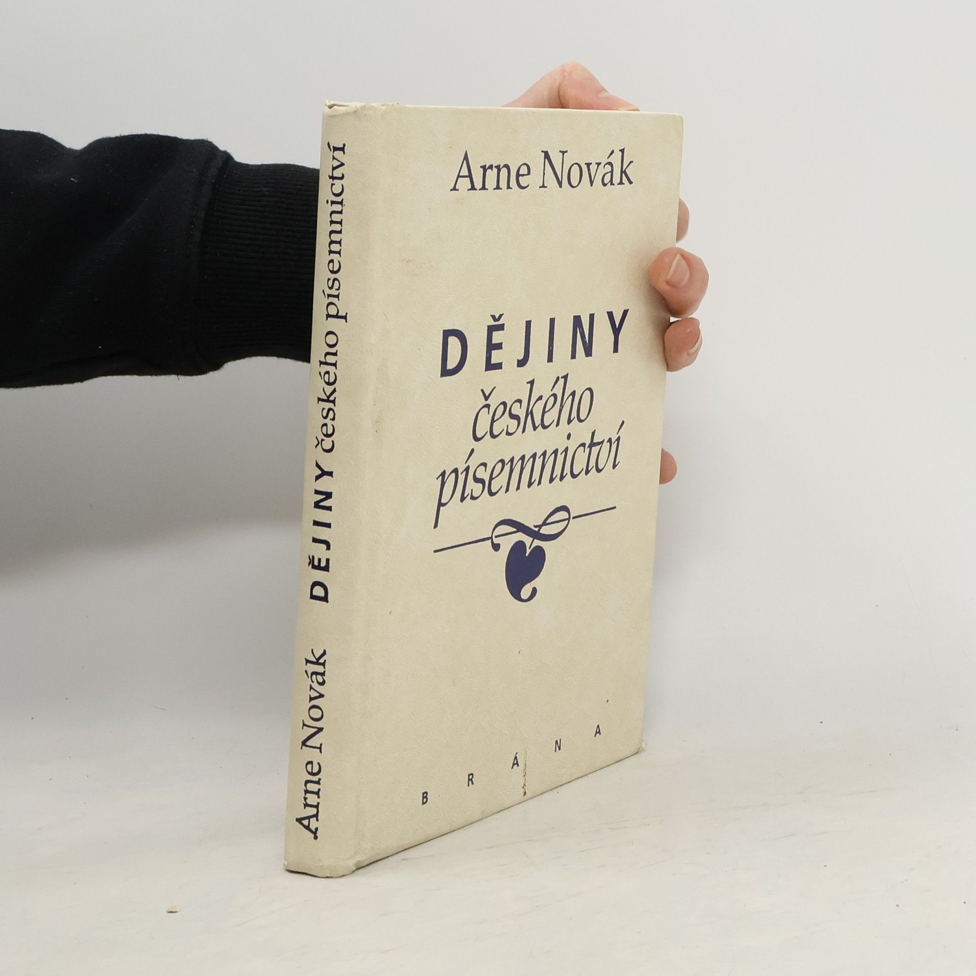 Dějiny českého písemnictví