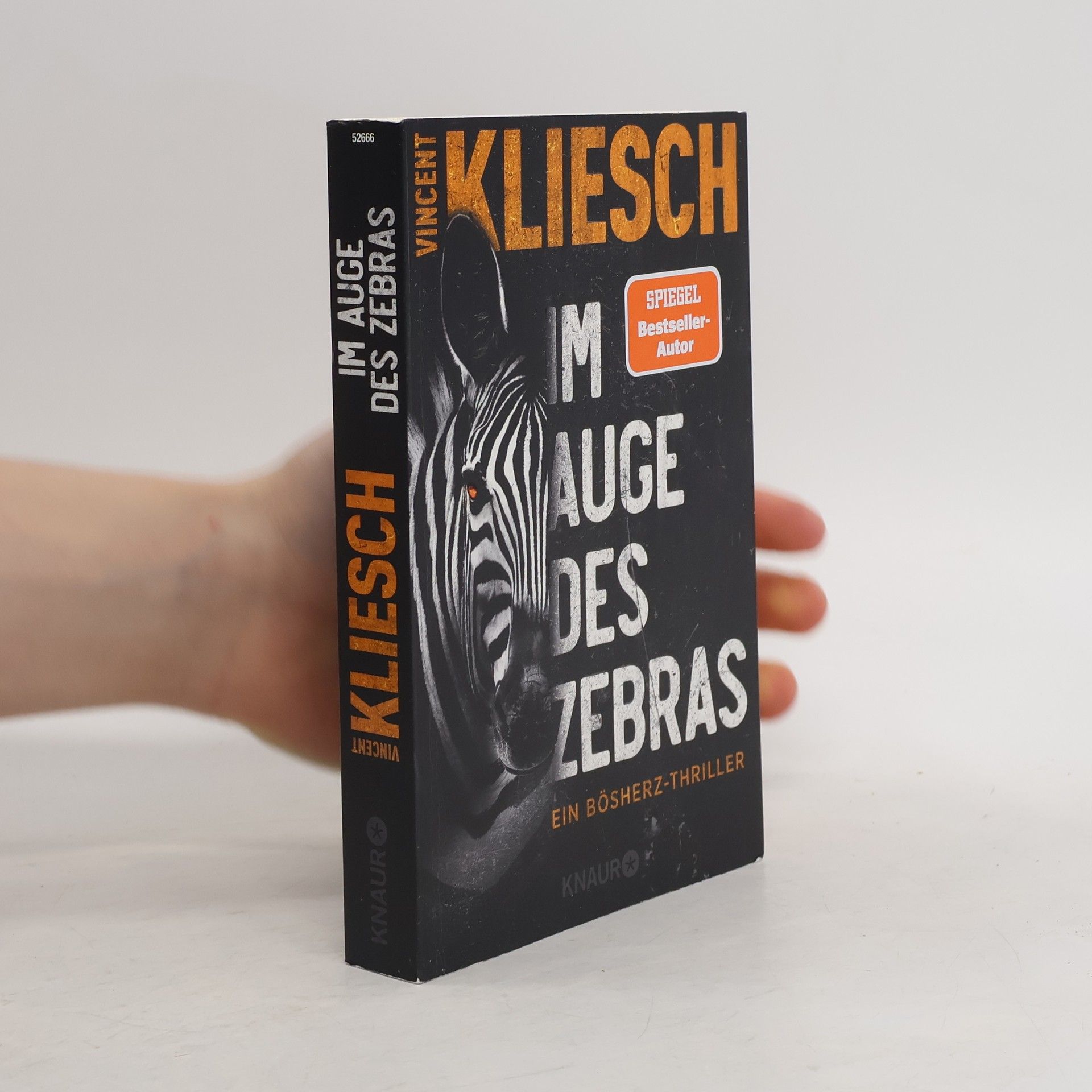 Vincent Kliesch Im Auge des Zebras