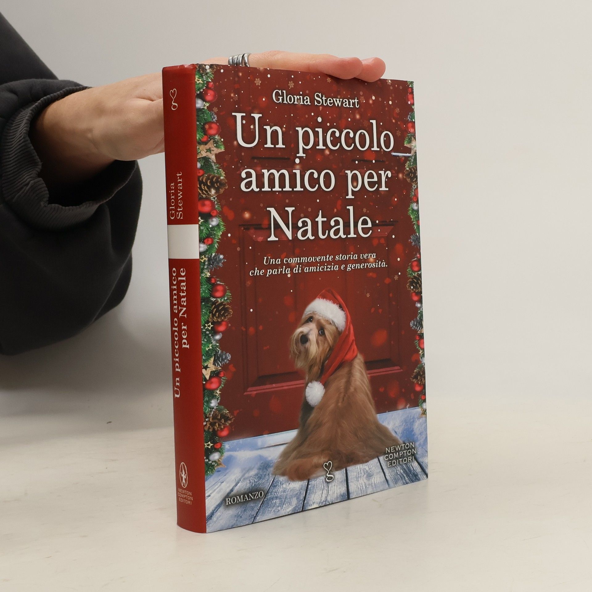 Donatella Semproni Un piccolo amico per Natale