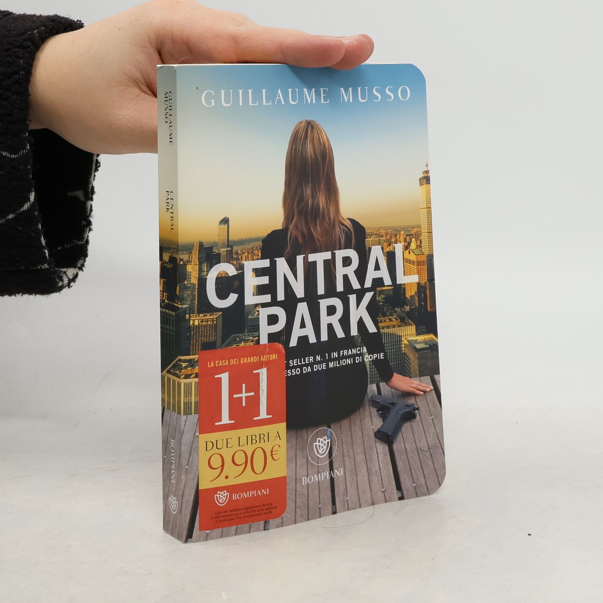 Guillaume Musso Central Park