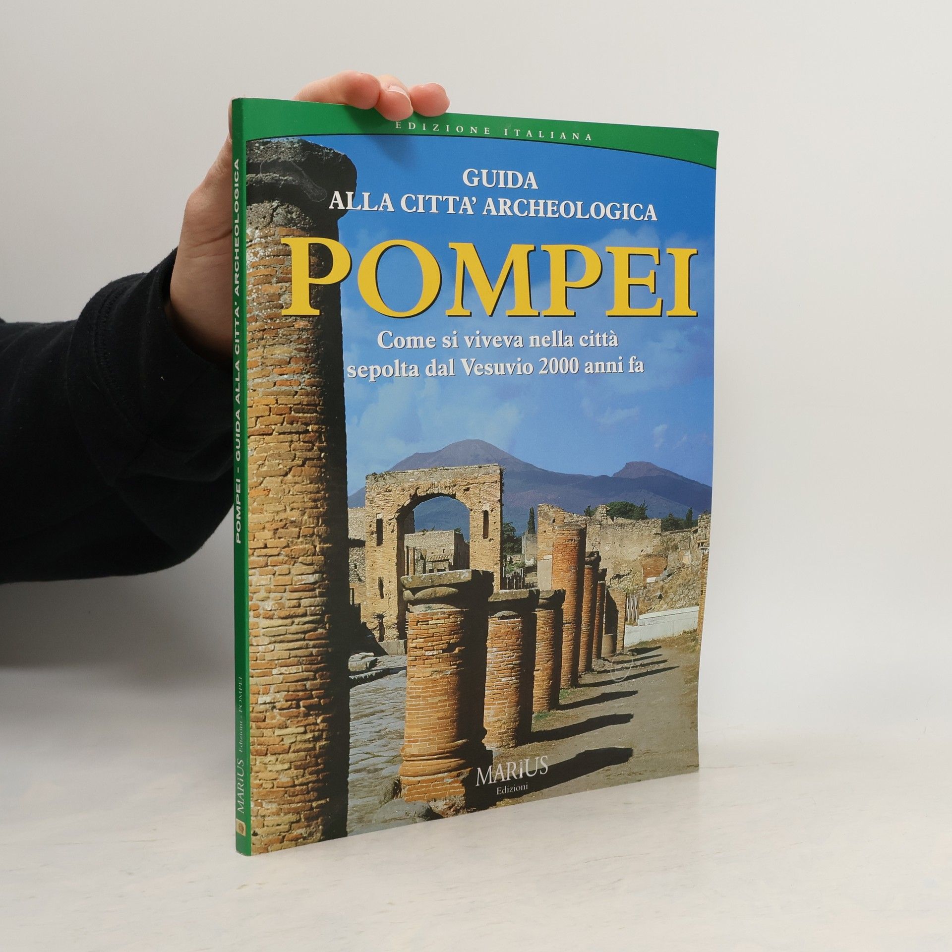 Autorenkollektiv Guida alla città archeologica. Pompei