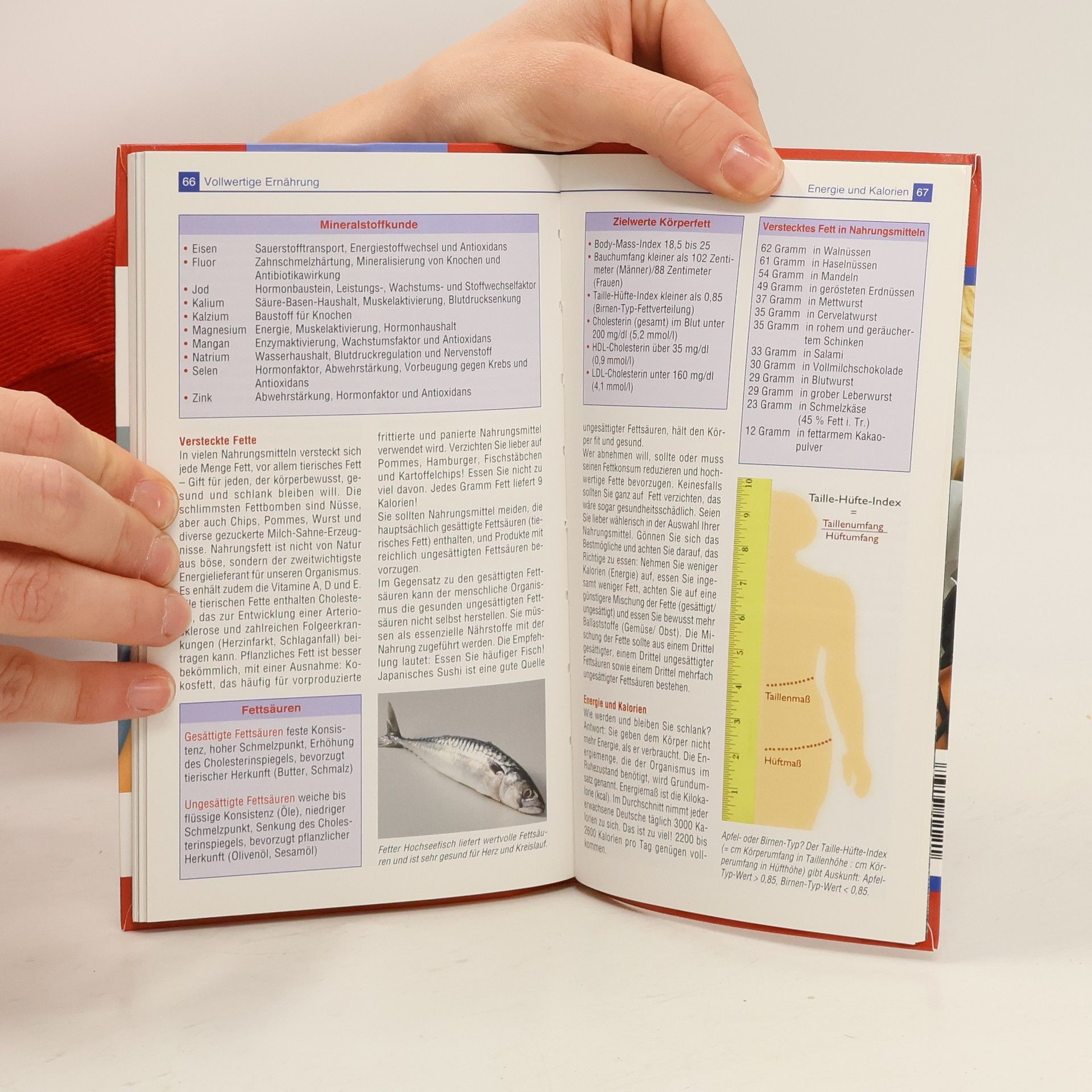 Autorenkollektiv Blutdruck