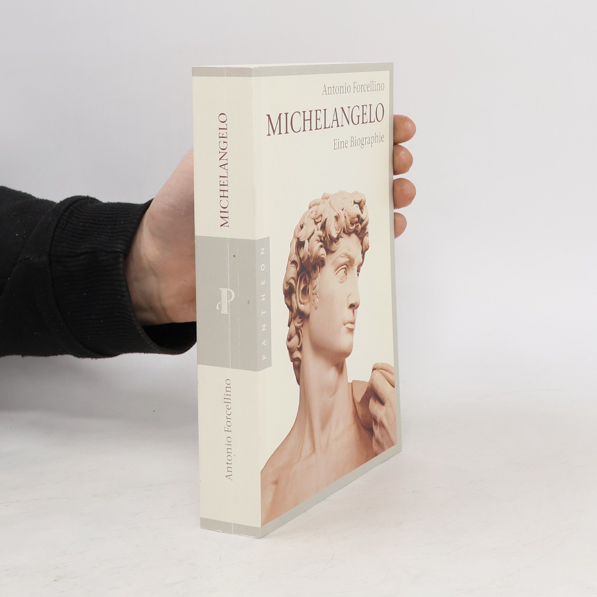 Michelangelo. Eine Biographie
