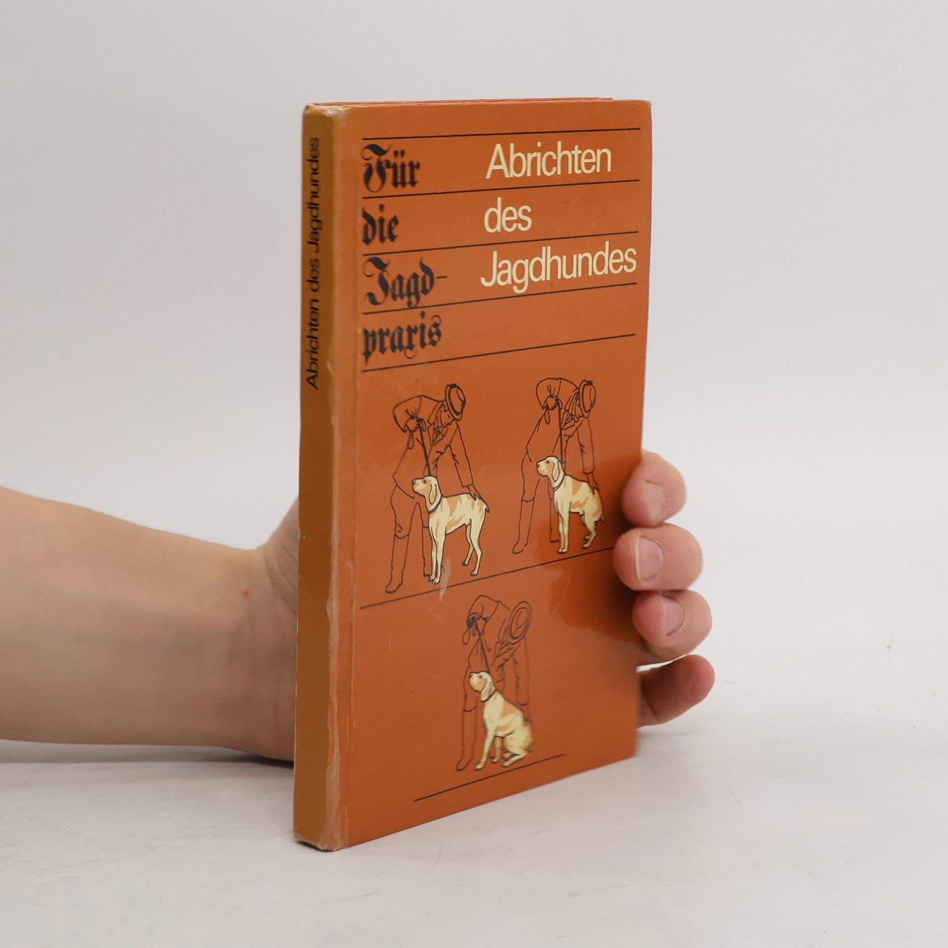 Autorenkollektiv Abrichten des Jagdhundes