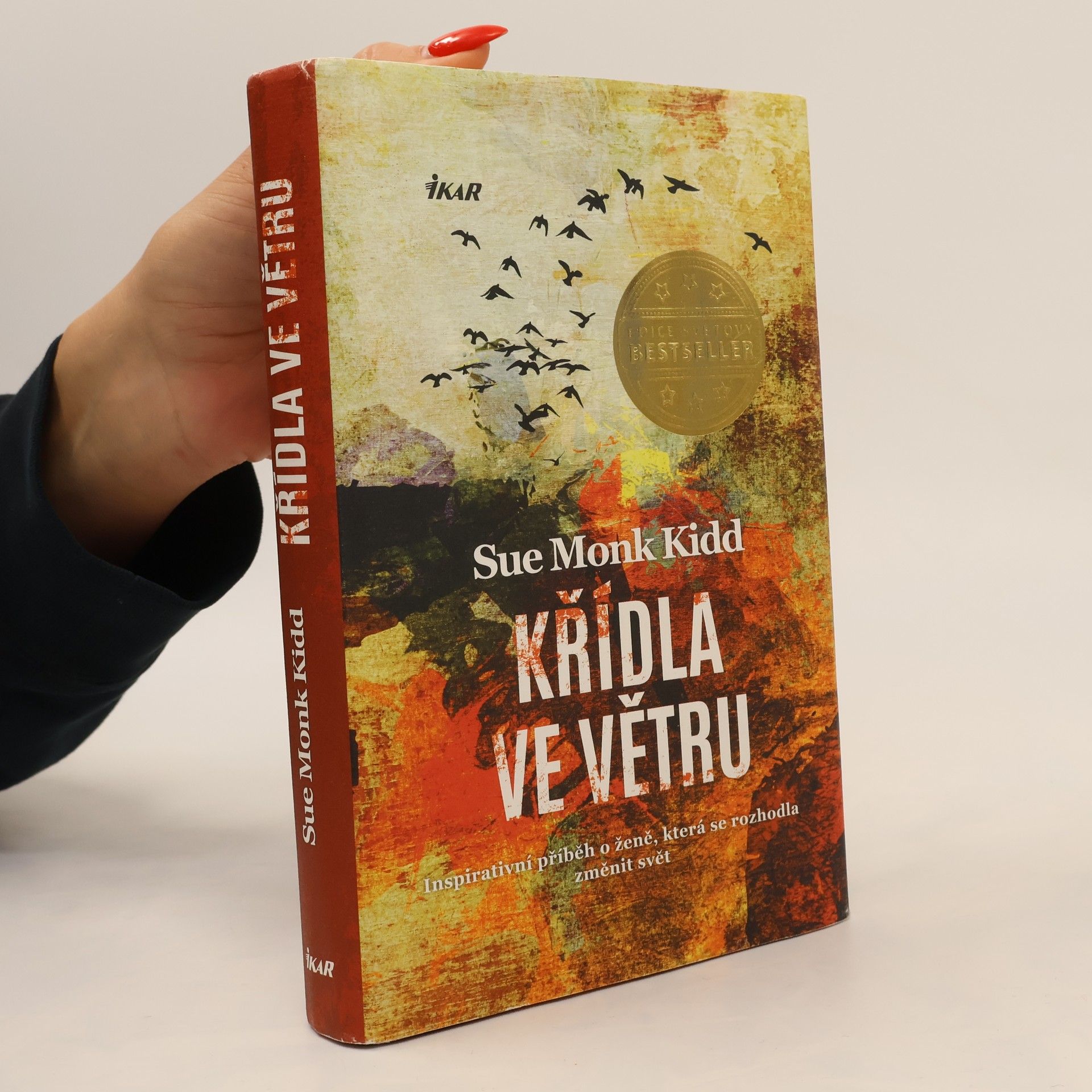 Sue Monk Kidd Křídla ve větru