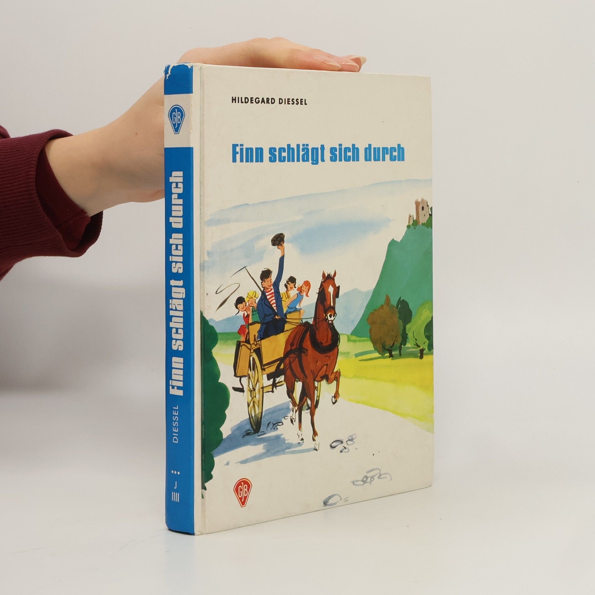 Autorenkollektiv Finn schlägt sich durch