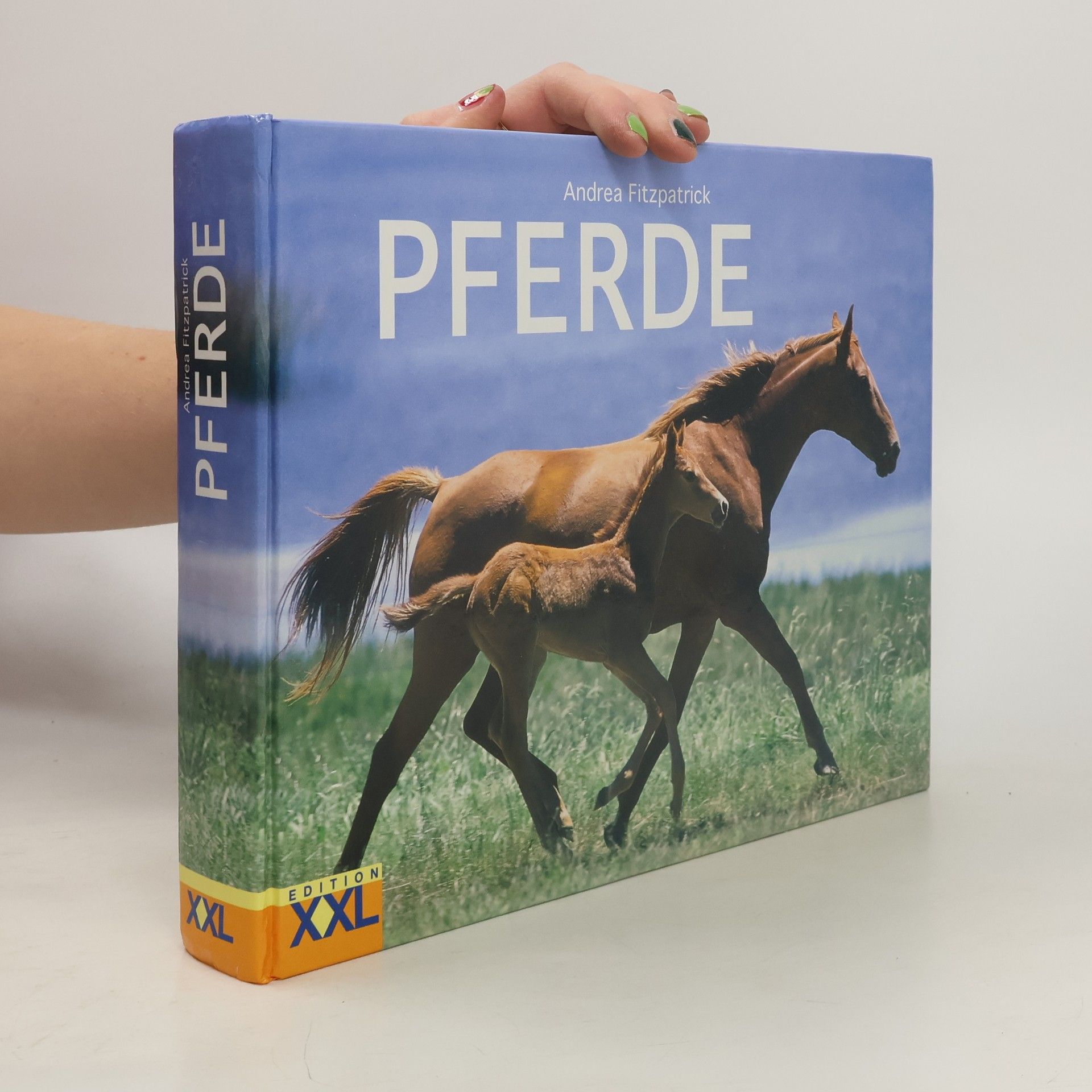 Andrea Fitzpatrick Pferde