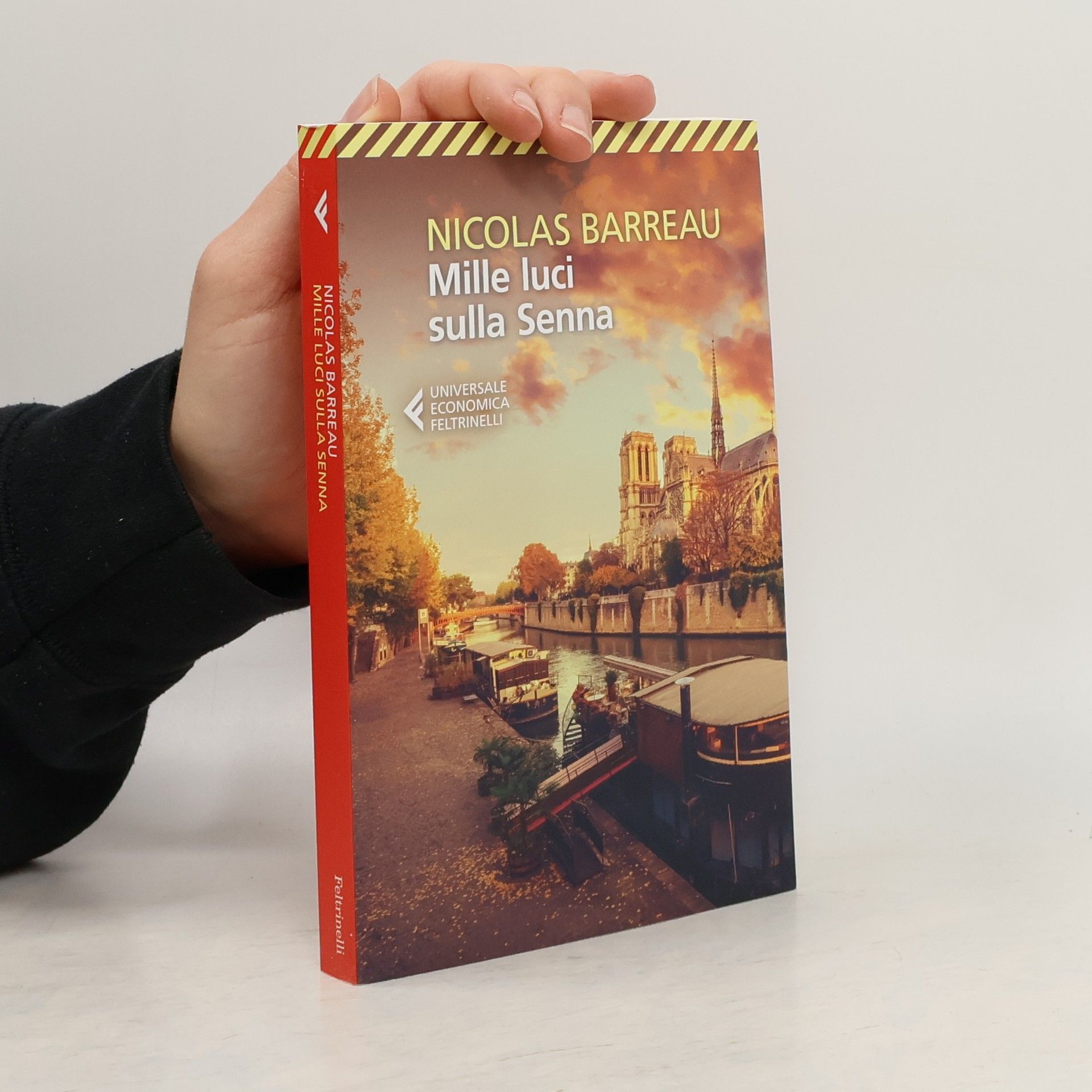 Nicolas Barreau Universale economica: Mille luci sulla Senna