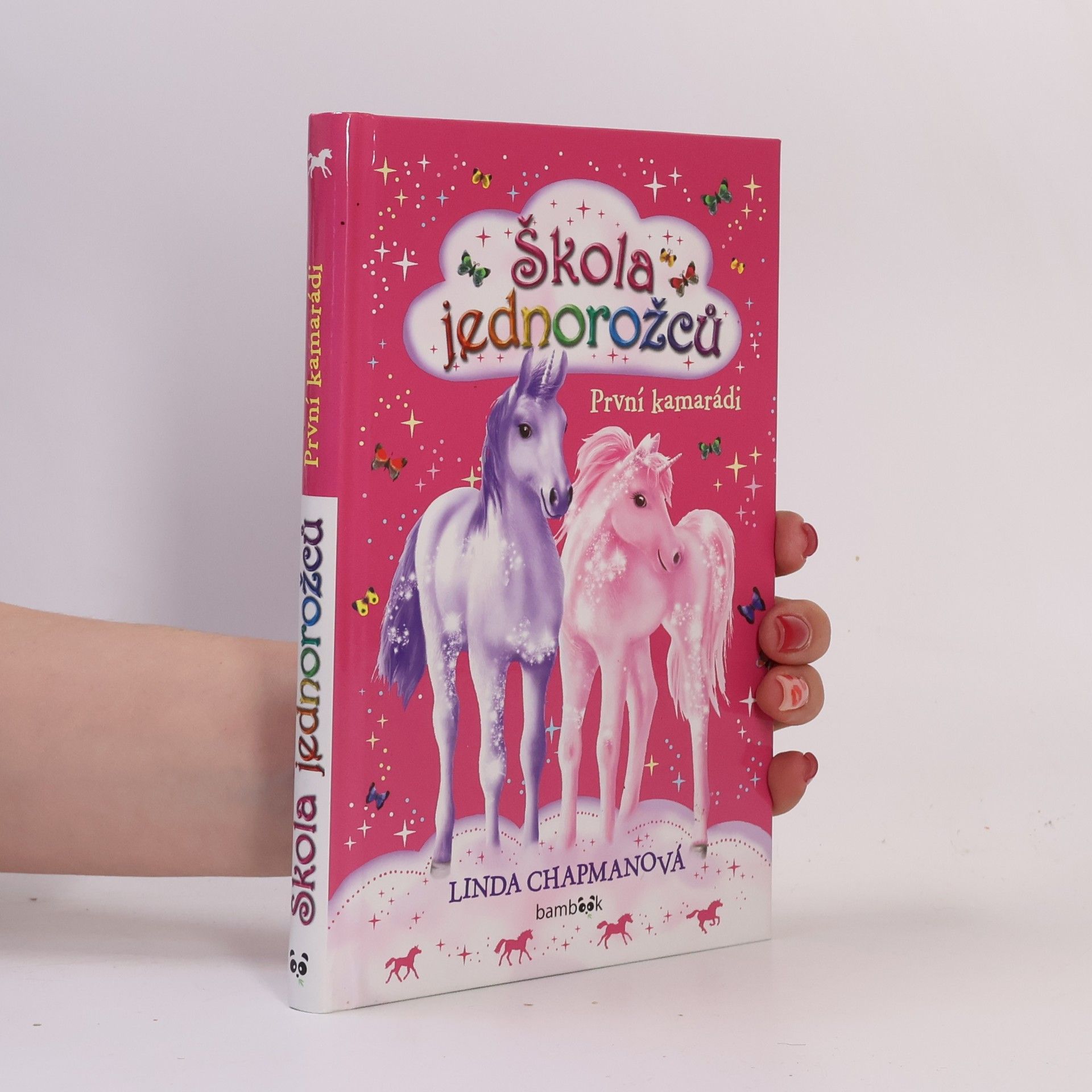 Linda Chapman Škola jednorožců - První kamarádi