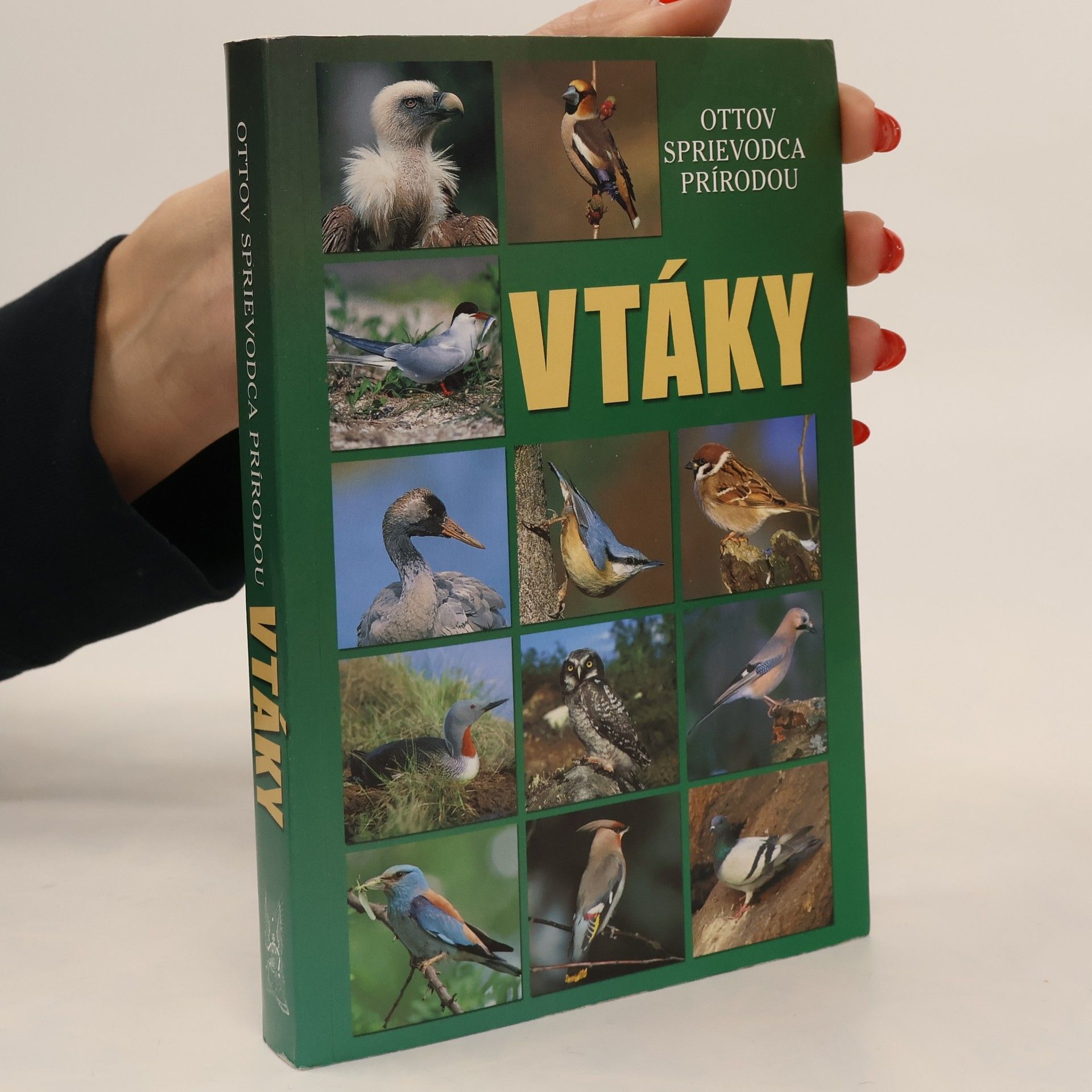 Detlef Singer Vtáky