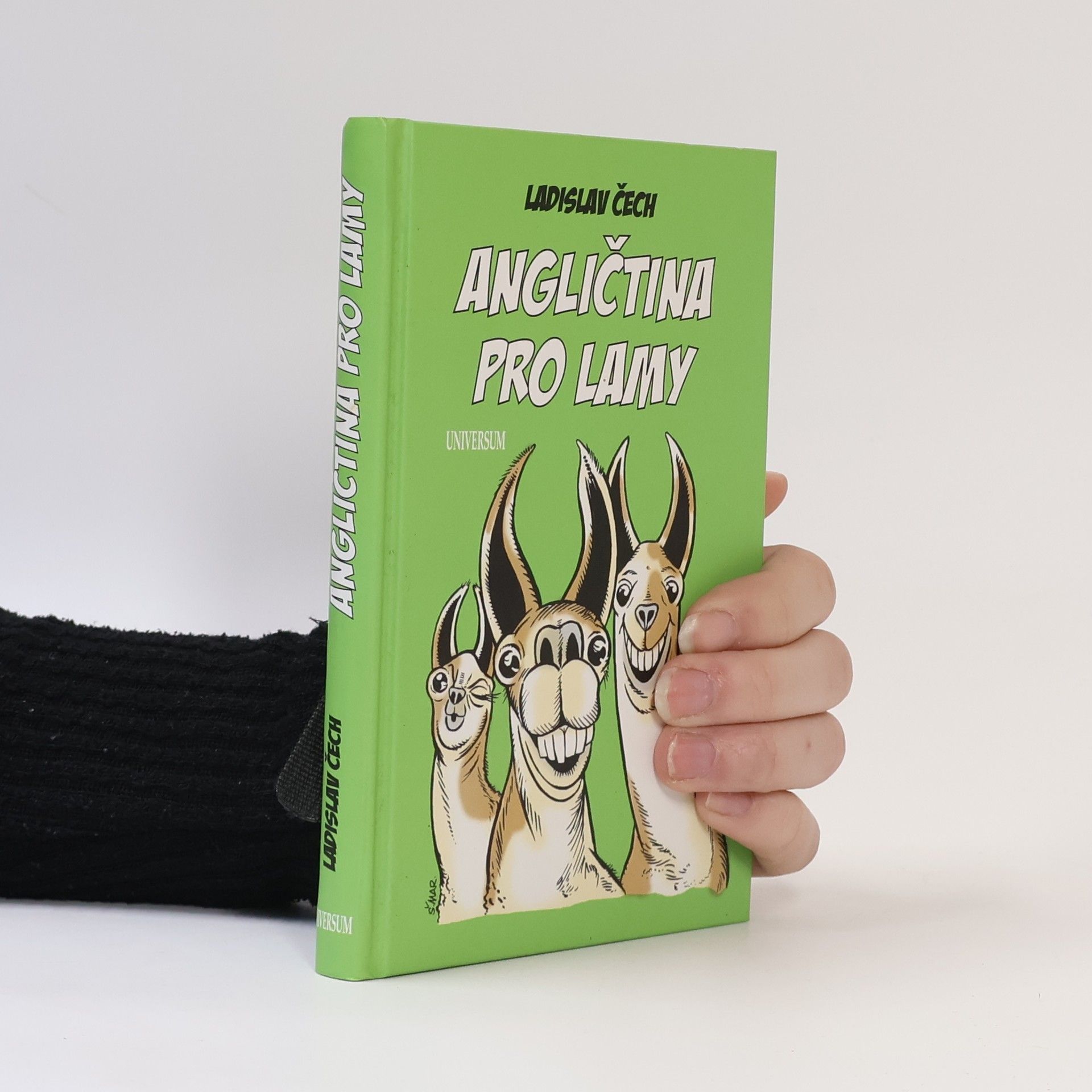 Angličtina pro lamy