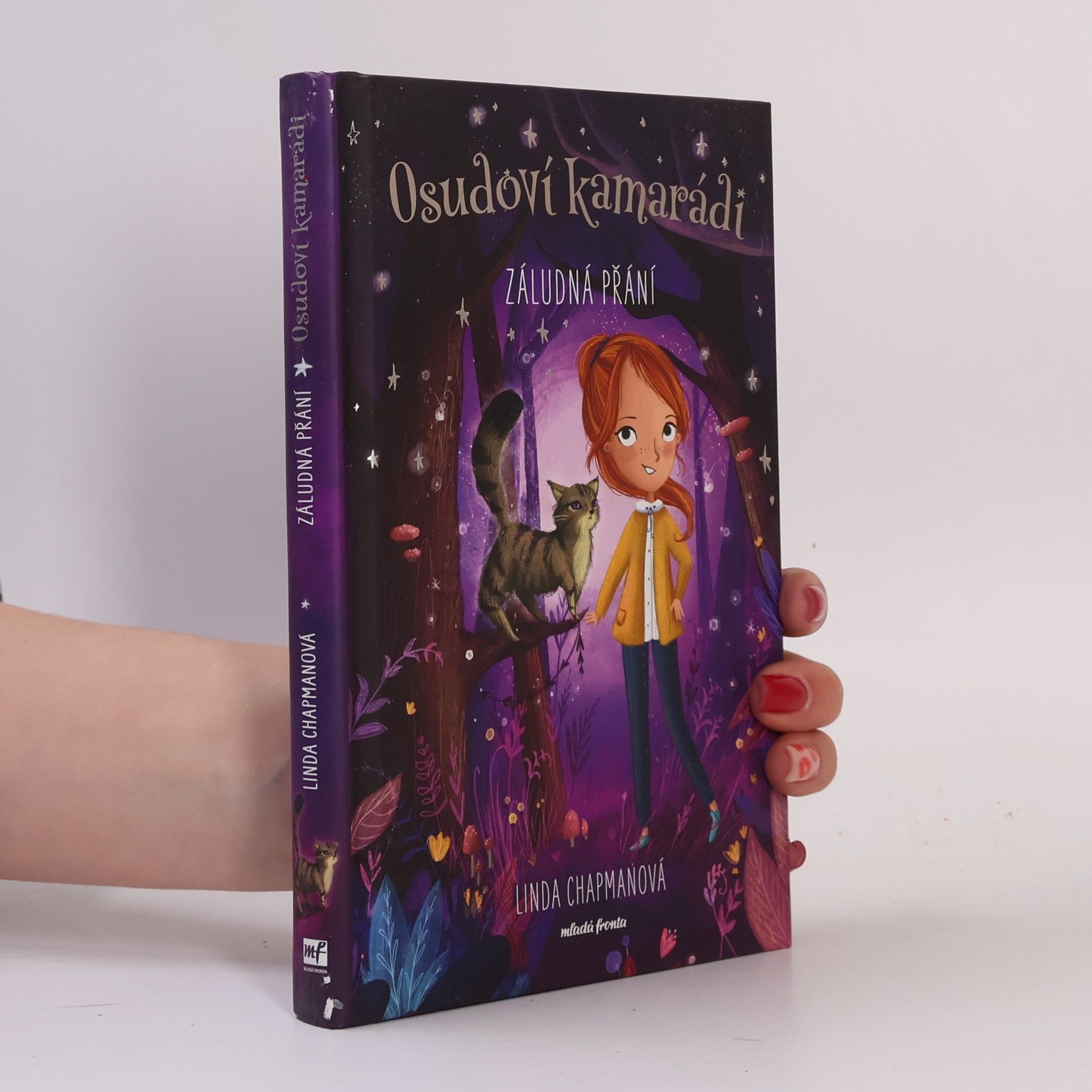 Linda Chapman Osudoví kamarádi - Záludná přání