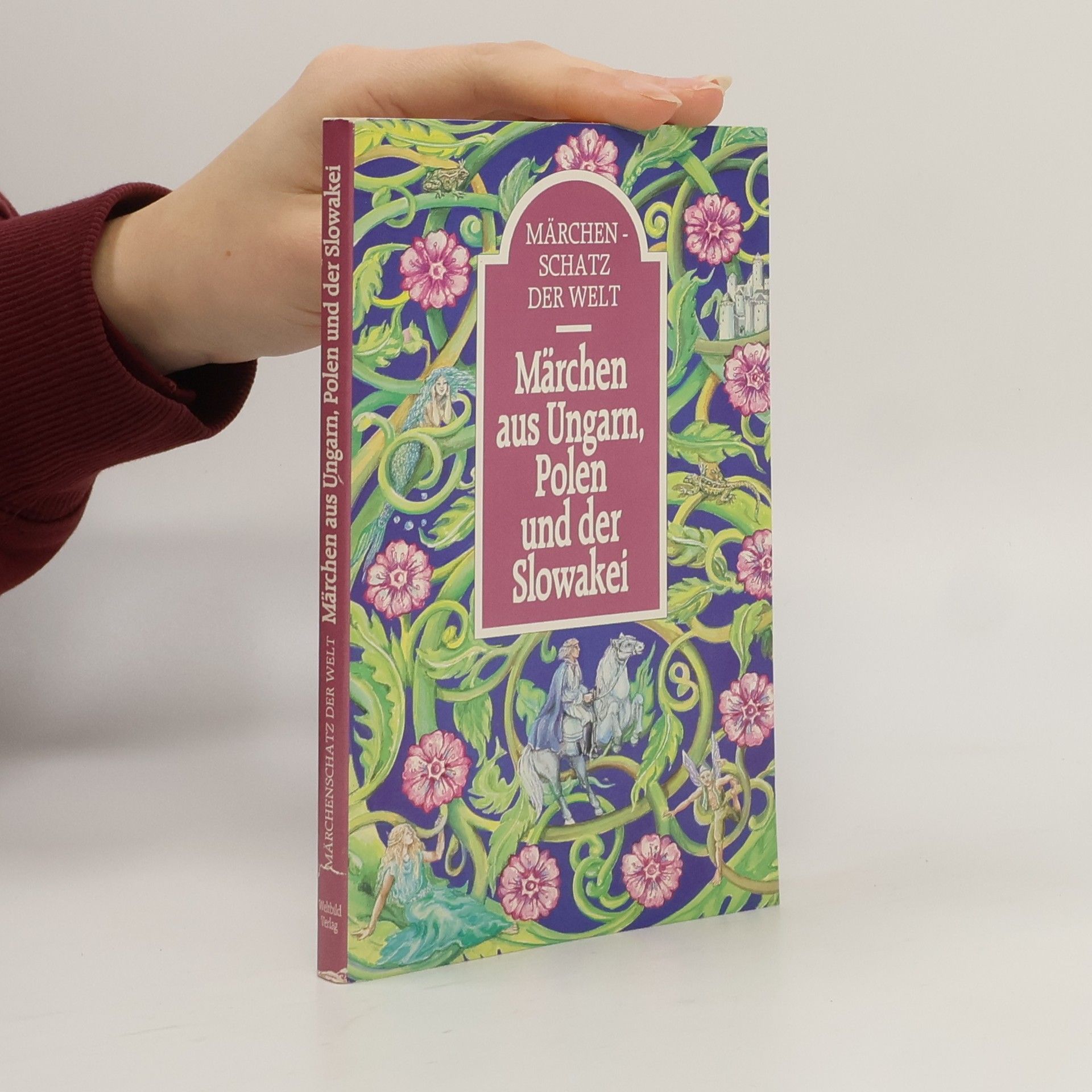 Collectif d'auteurs Märchen aus Ungarn, Polen und der Slowakei