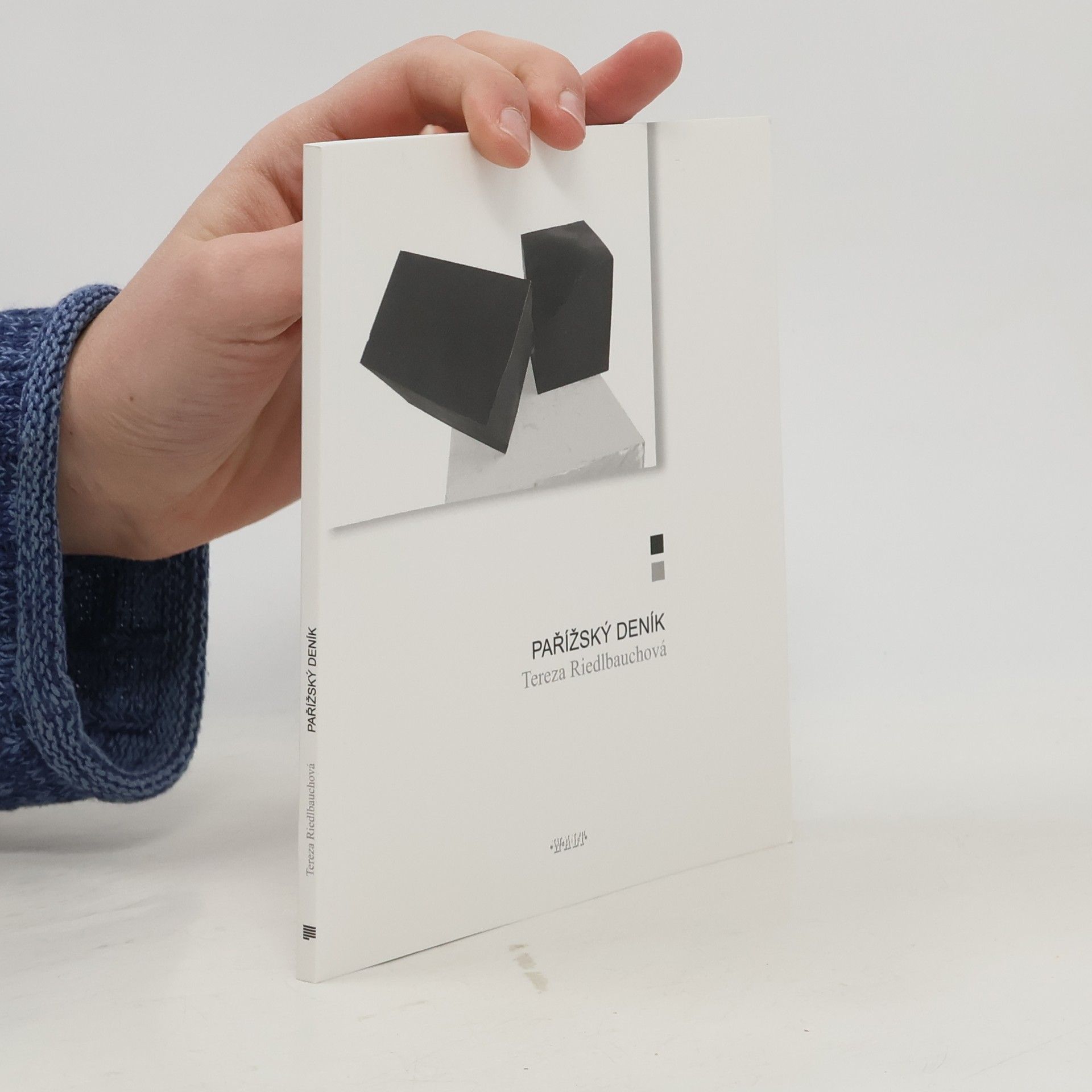 Tereza Riedlbauchová Pařížský deník