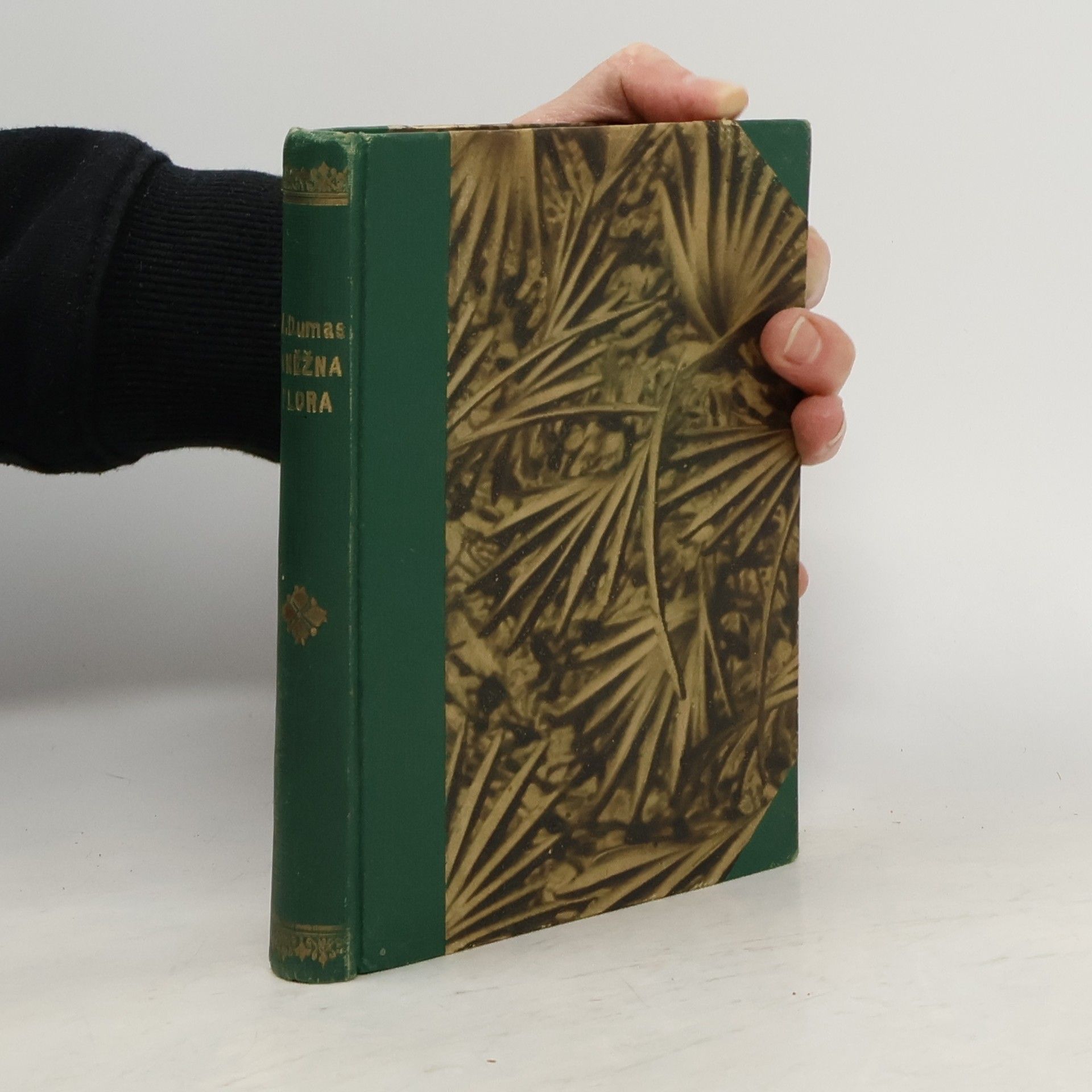 Alexandre Dumas starší Kněžna Flora