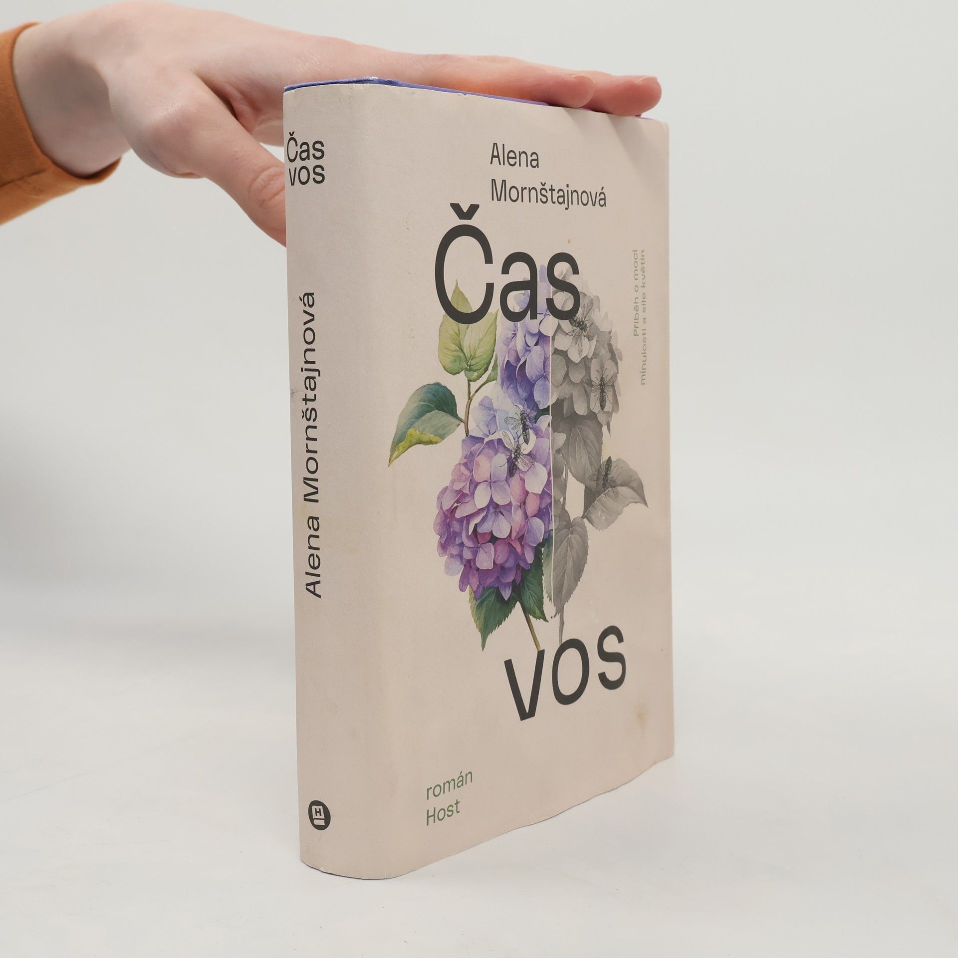 Alena Mornštajnová Čas vos